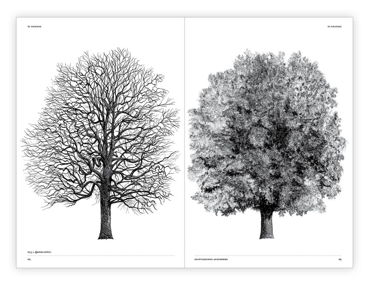 The Architecture of Trees Hardcover Book