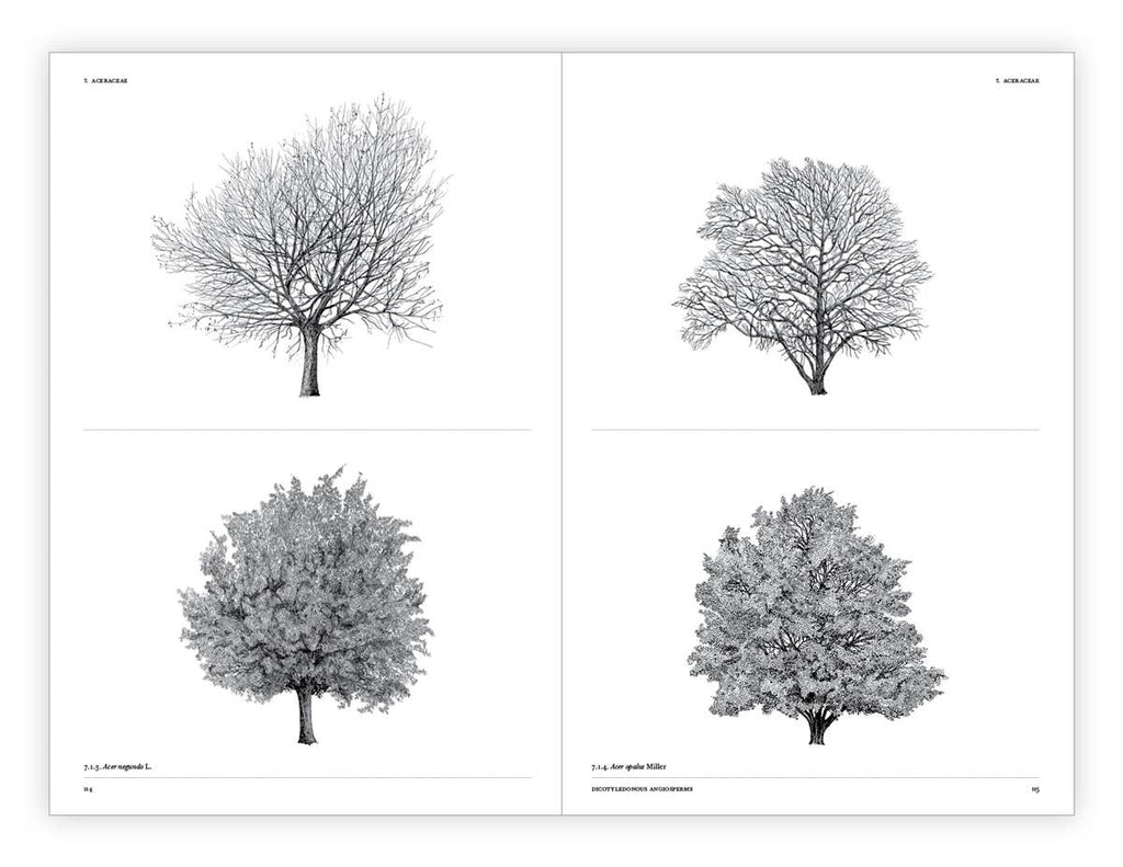 The Architecture of Trees Hardcover Book