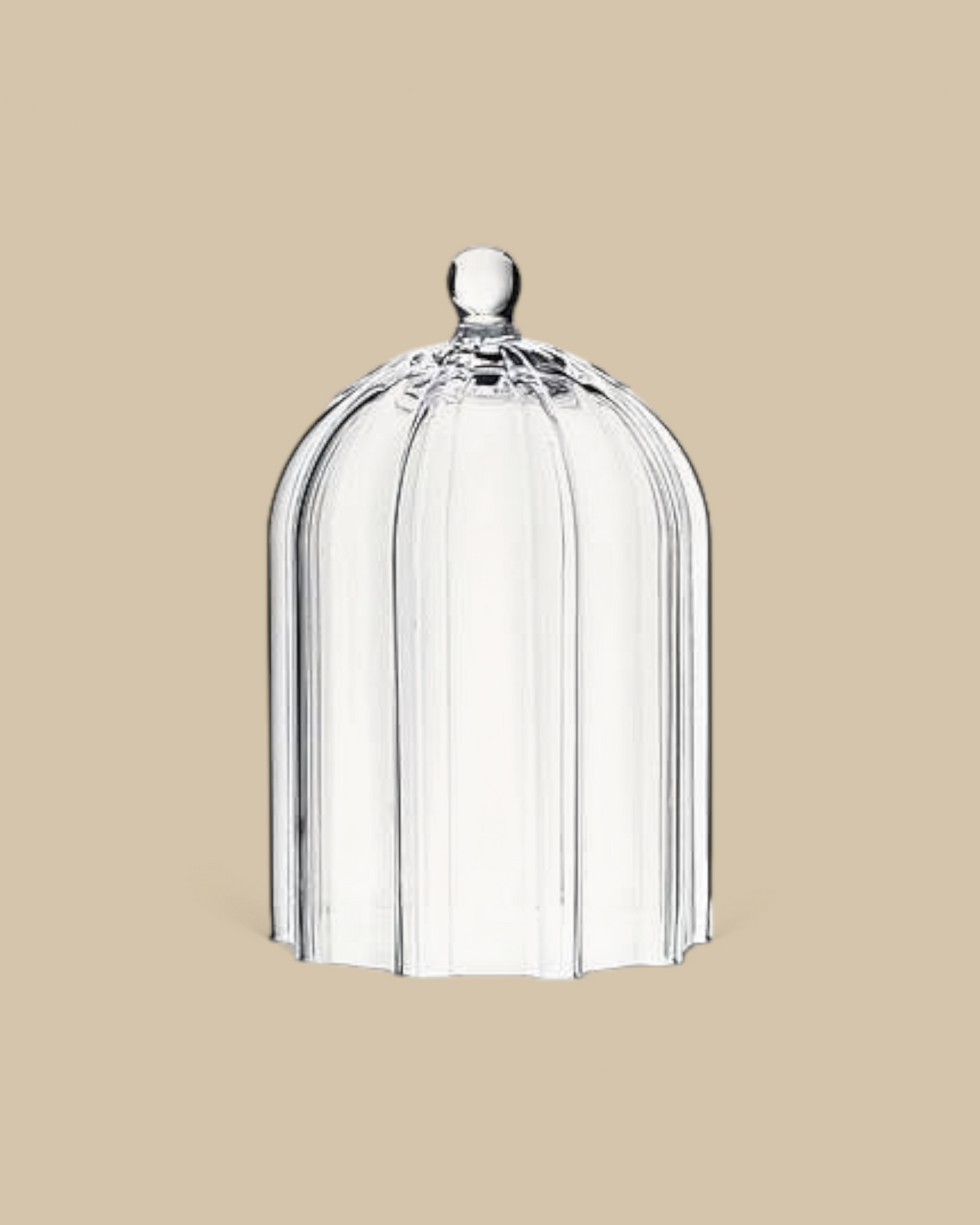 Homestyle Collective 10.5-inch clear glass cloche with vertical ribbed detailing and a scalloped base.