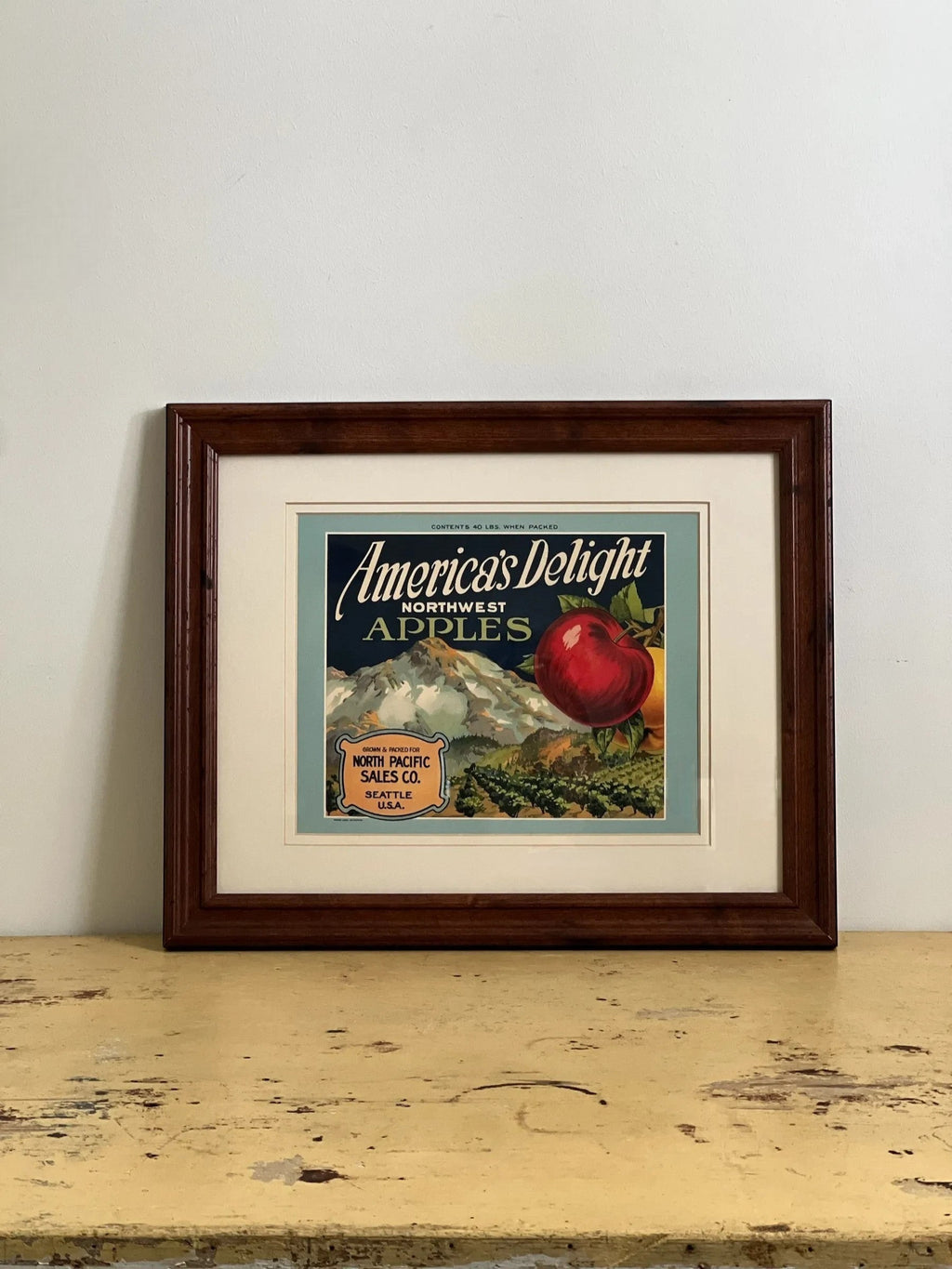 Homestyle Collective framed advertisement for America's Delight Northwest Apples, featuring a red apple and apple orchard.
