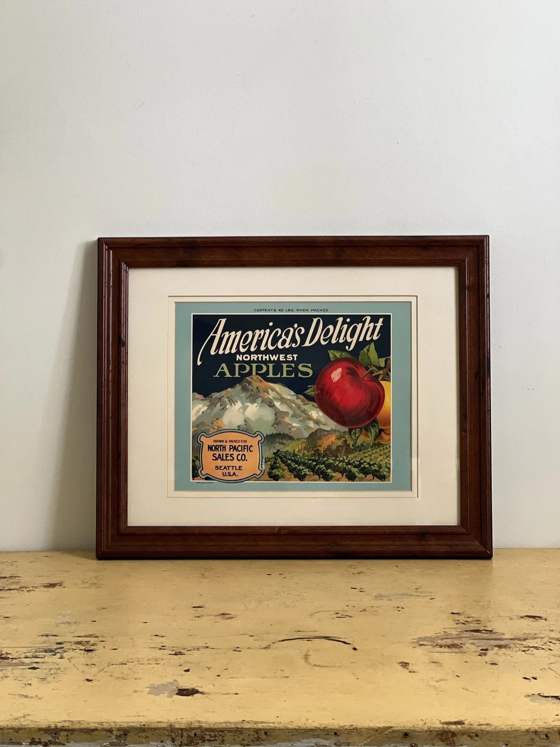 Homestyle Collective framed advertisement for America's Delight Northwest Apples, featuring a red apple and apple orchard.