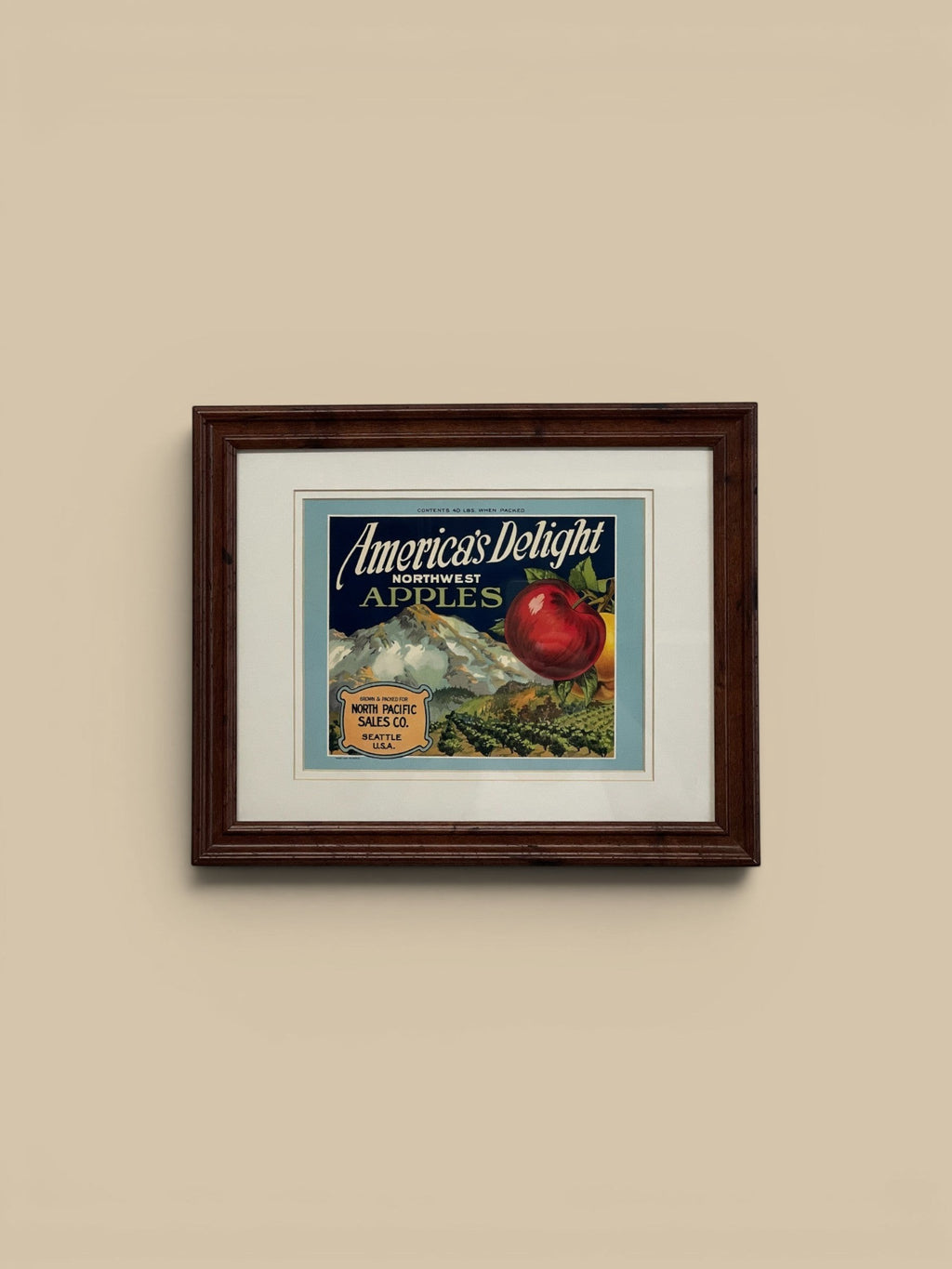 Homestyle Collective vintage framed advertisement for America's Delight Northwest Apples, featuring a red apple and mountain landscape.
