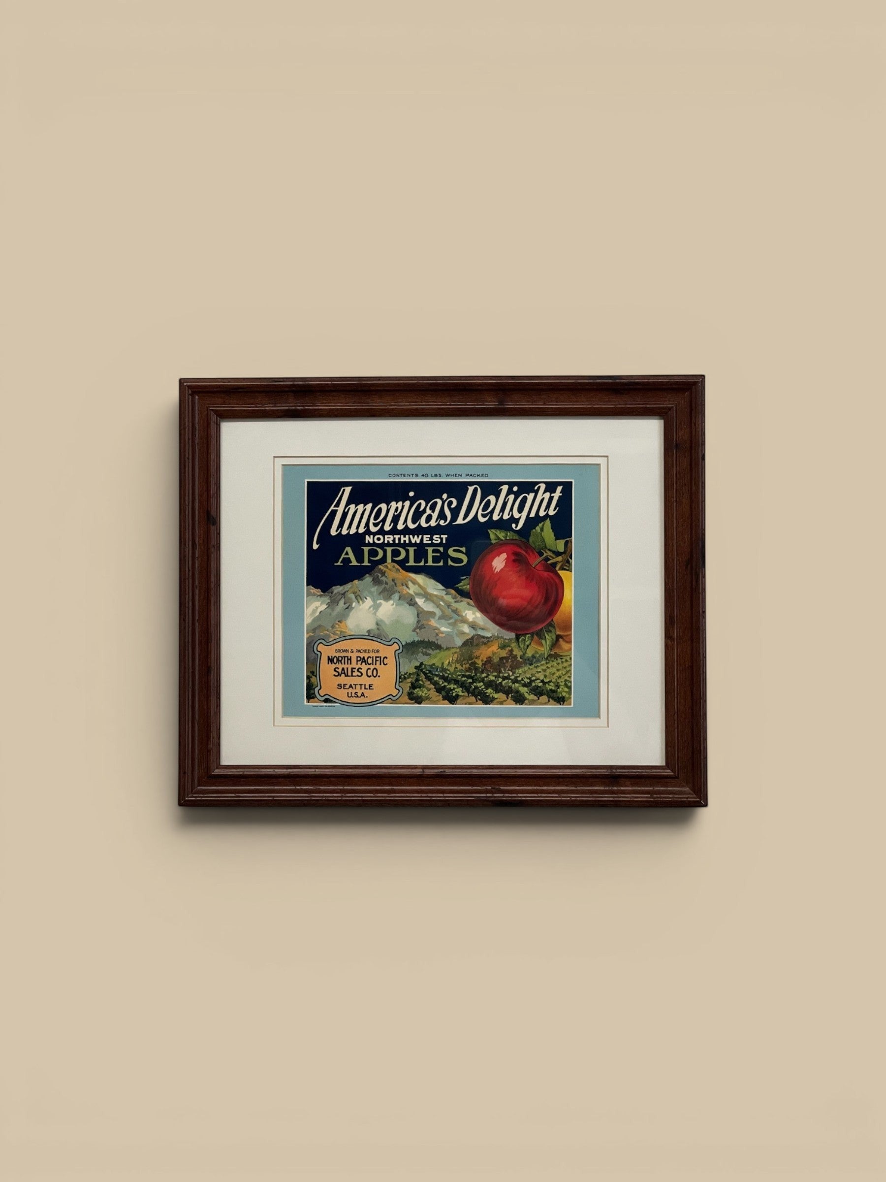 Homestyle Collective vintage framed advertisement for America's Delight Northwest Apples, featuring a red apple and mountain landscape.