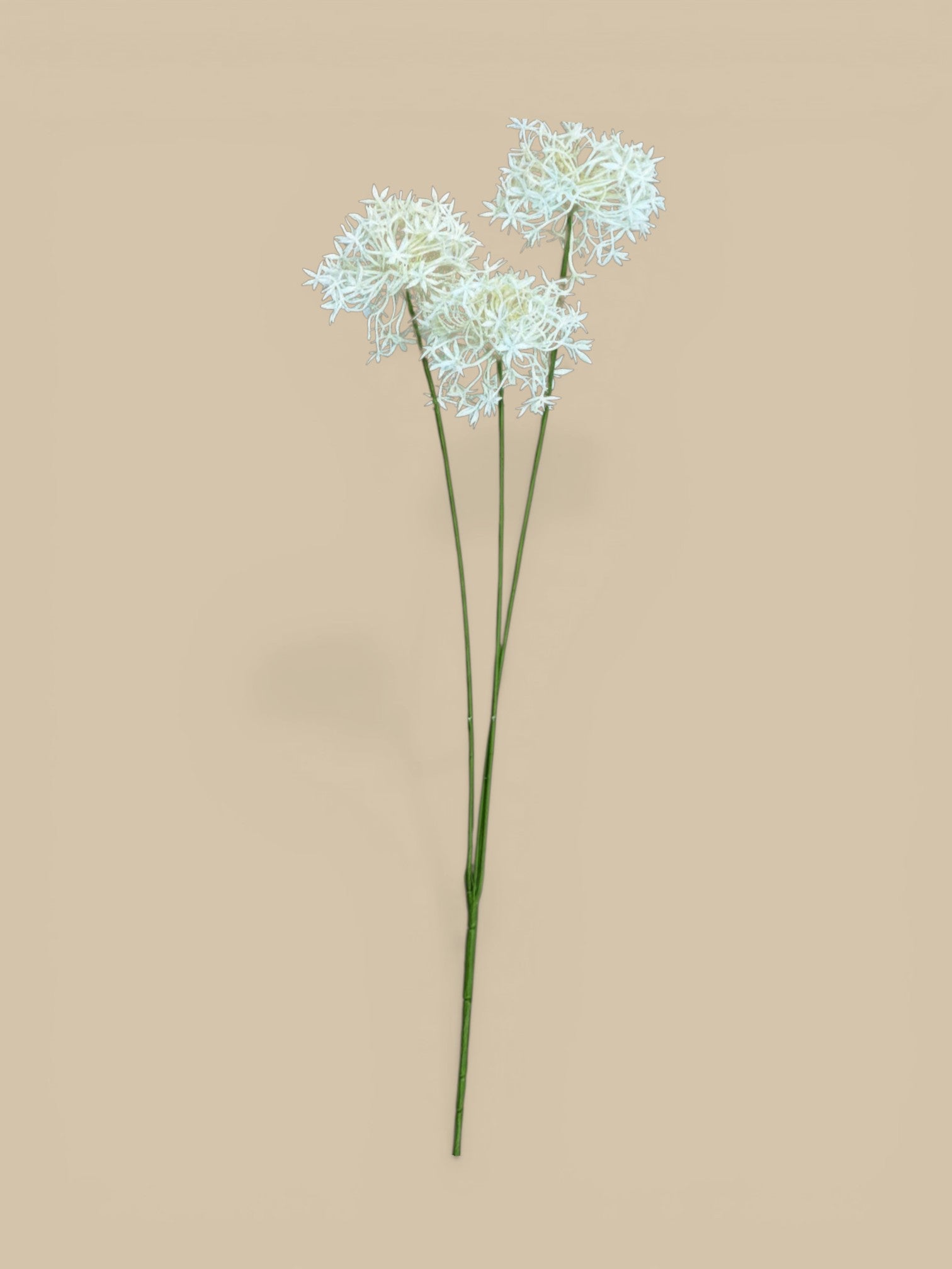 Homestyle Collective artificial cream allium bunch with three textured flower heads on green stems.