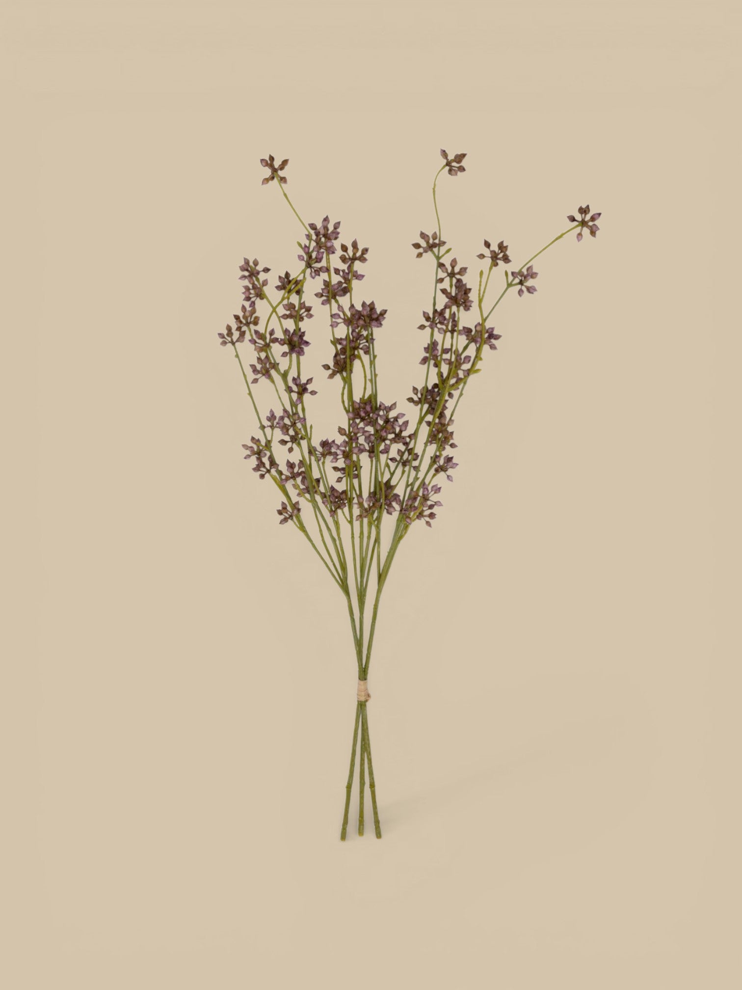 Homestyle Collective artificial succulent bunch with 3 blush stems, delicate bud-like forms.