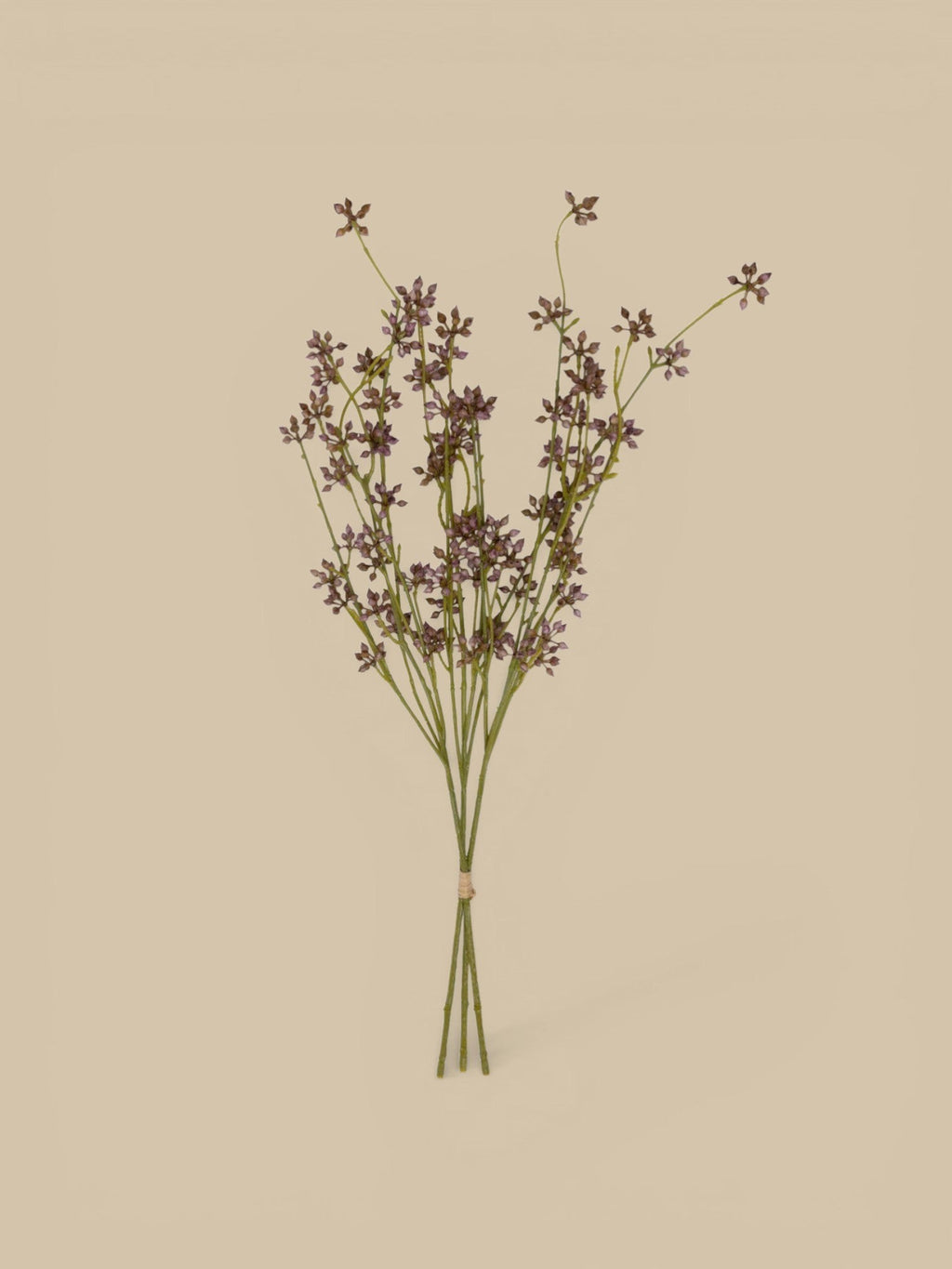 Homestyle Collective artificial succulent bunch with 3 blush stems, delicate bud-like forms.