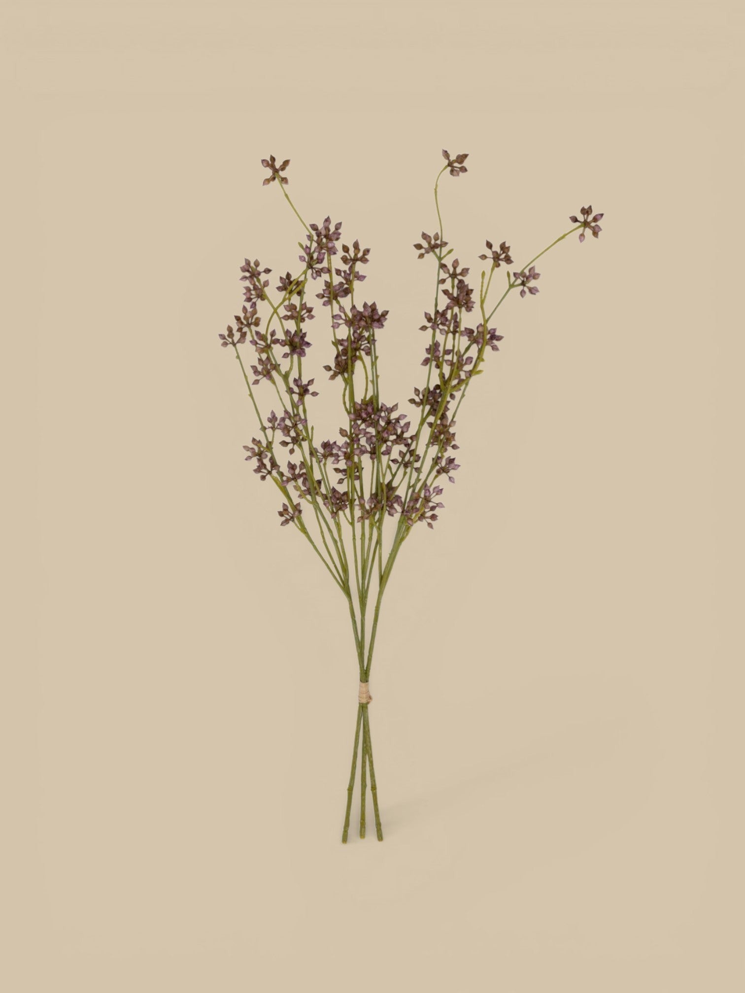Homestyle Collective artificial succulent bunch with 3 blush stems, delicate bud-like forms.