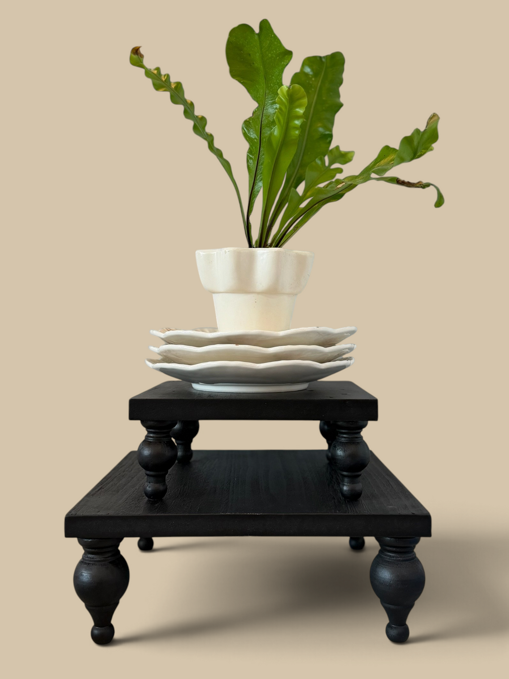 Homestyle Collective set of two black wooden risers with square trays and turned legs displaying a potted plant