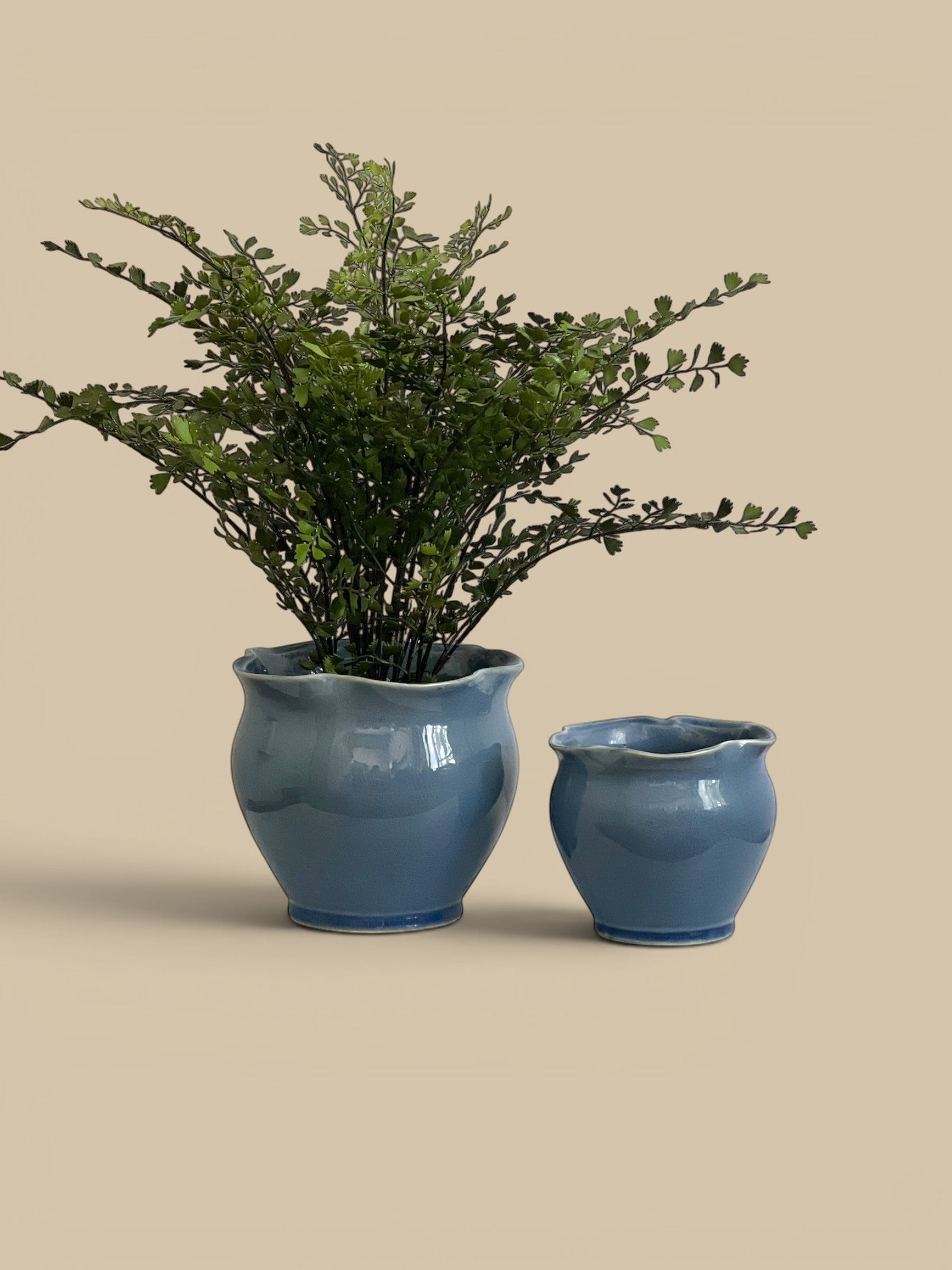 Homestyle Collective Megan planter pots in deep blue glaze with ruffled rims, set of 2, holding green plants.