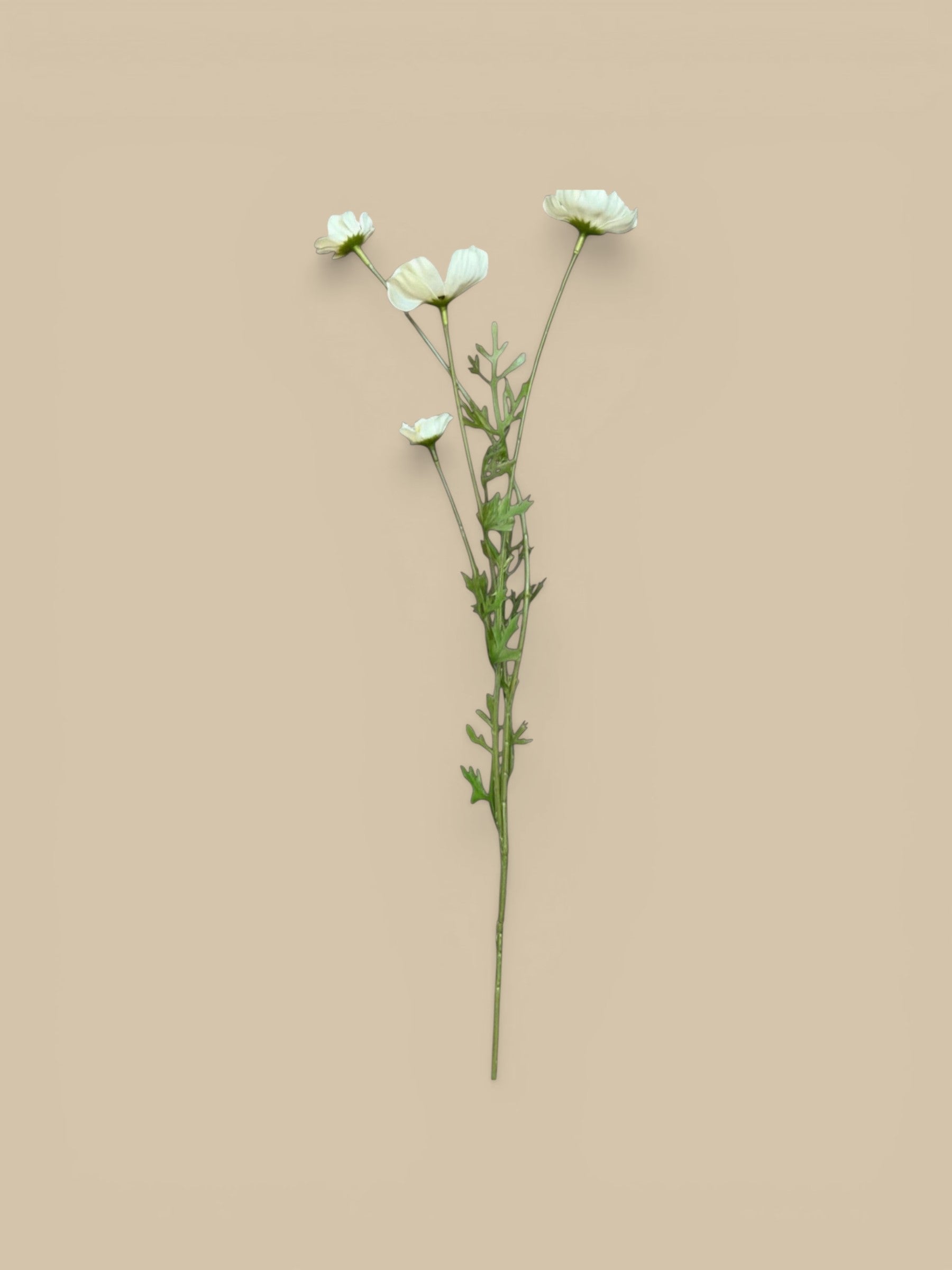 Homestyle Collective artificial cosmos meadow flowers in a soft buttermilk hue with green stems and leaves.