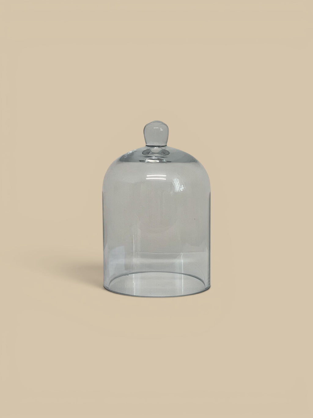 Homestyle Collective clear glass dome cloche with knob handle, perfect for displays or serving.