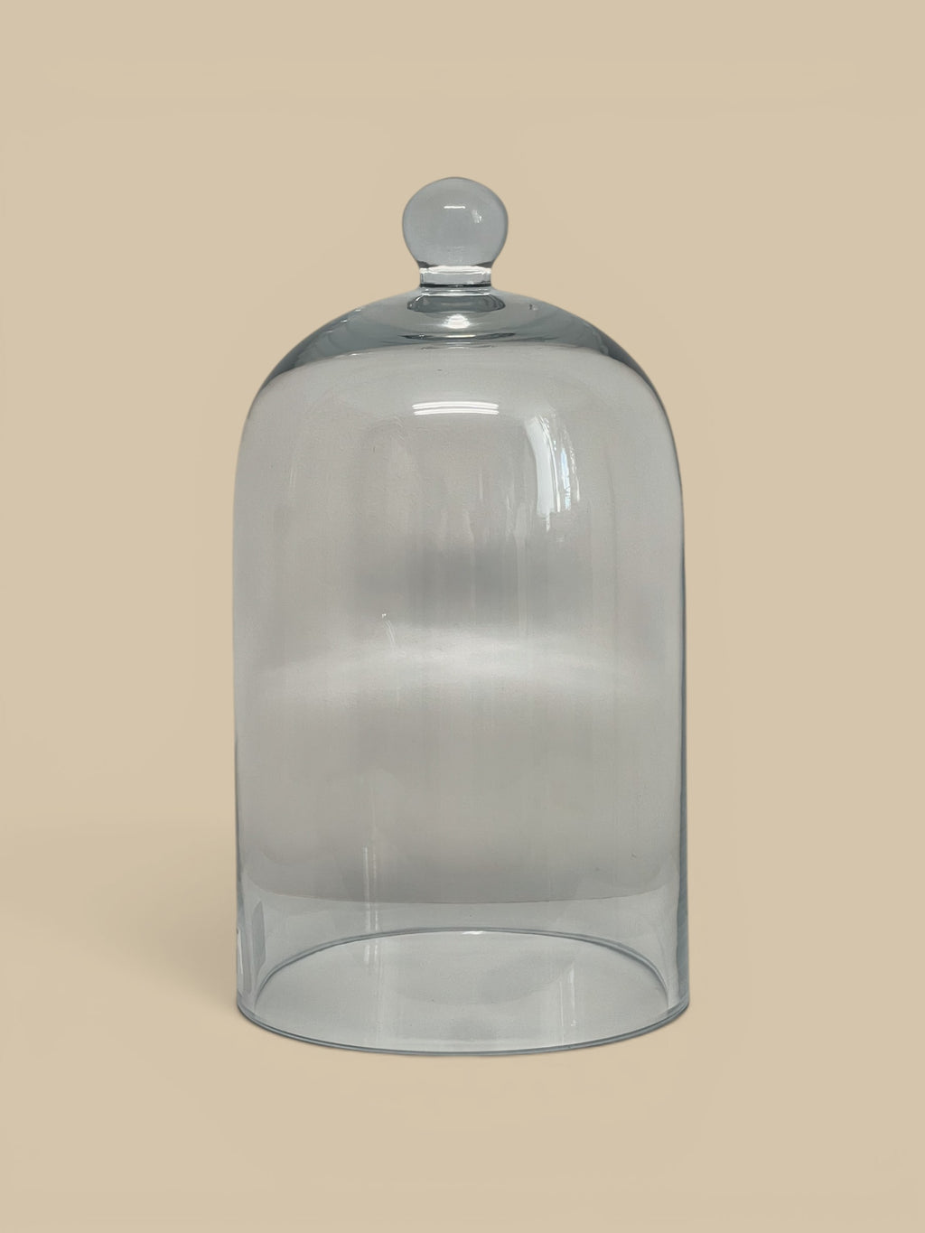 Homestyle Collective clear glass dome cloche with knob handle, perfect for displaying plants, food, or decorative items.