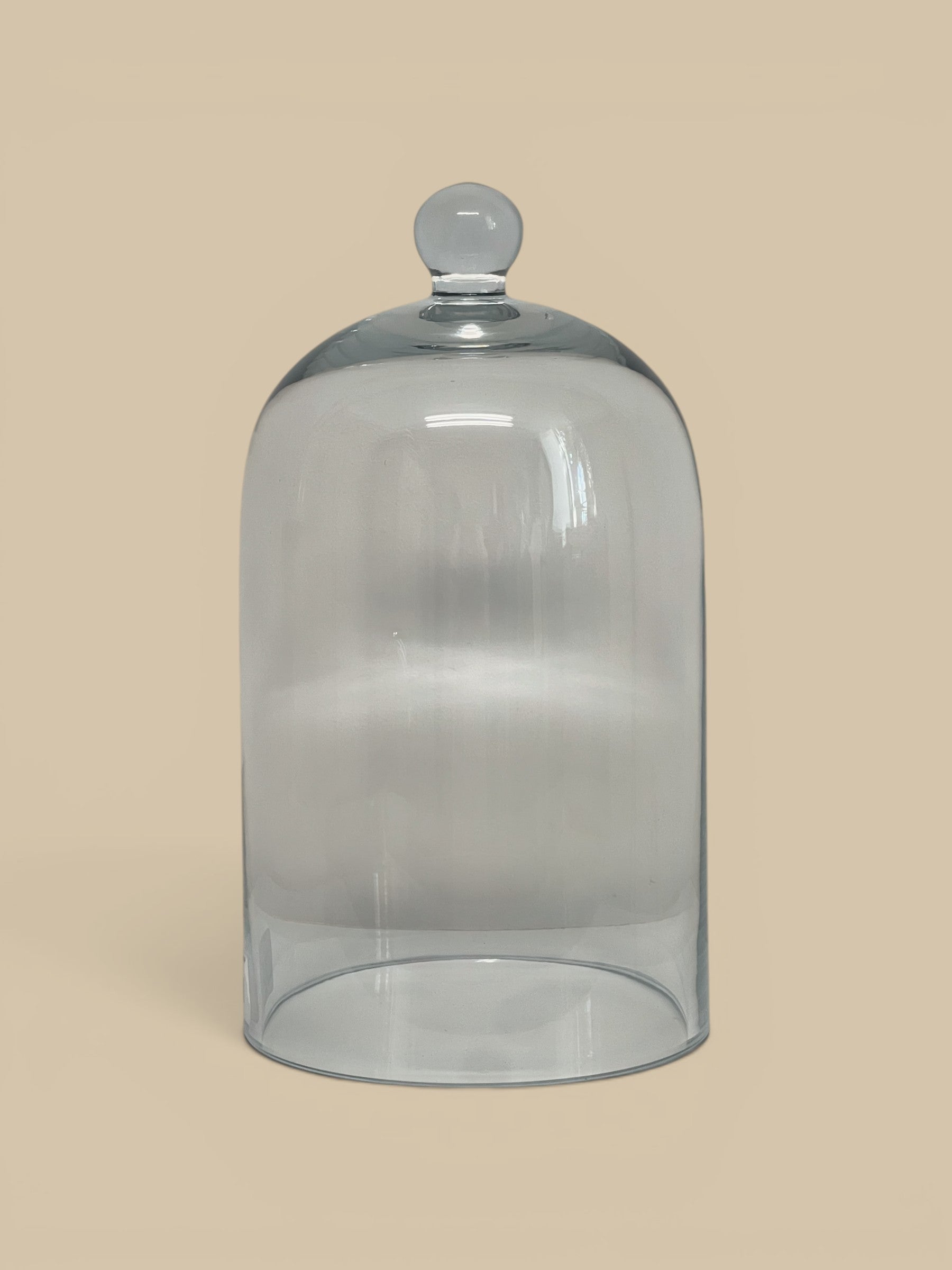 Homestyle Collective clear glass dome cloche with knob handle, perfect for displaying plants, food, or decorative items.