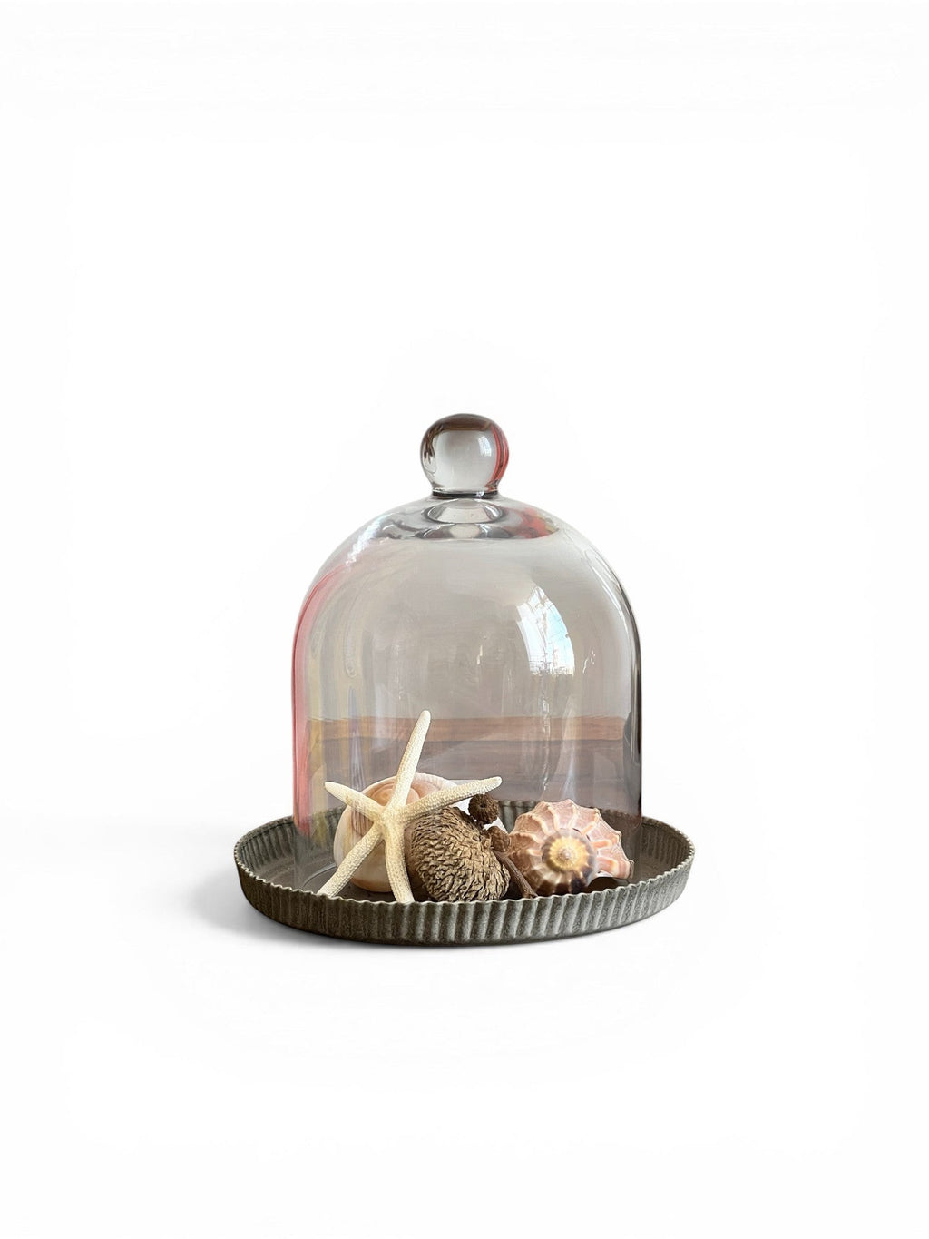 Homestyle Collective clear glass dome cloche with knob handle on fluted metal base, displaying shells and starfish.