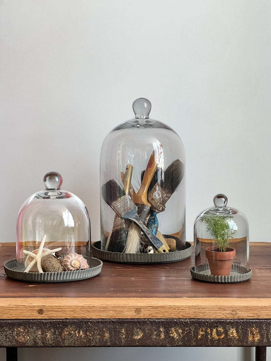 Homestyle Collective clear glass dome cloche with ribbed base, perfect for displaying plants, shells, or paintbrushes.