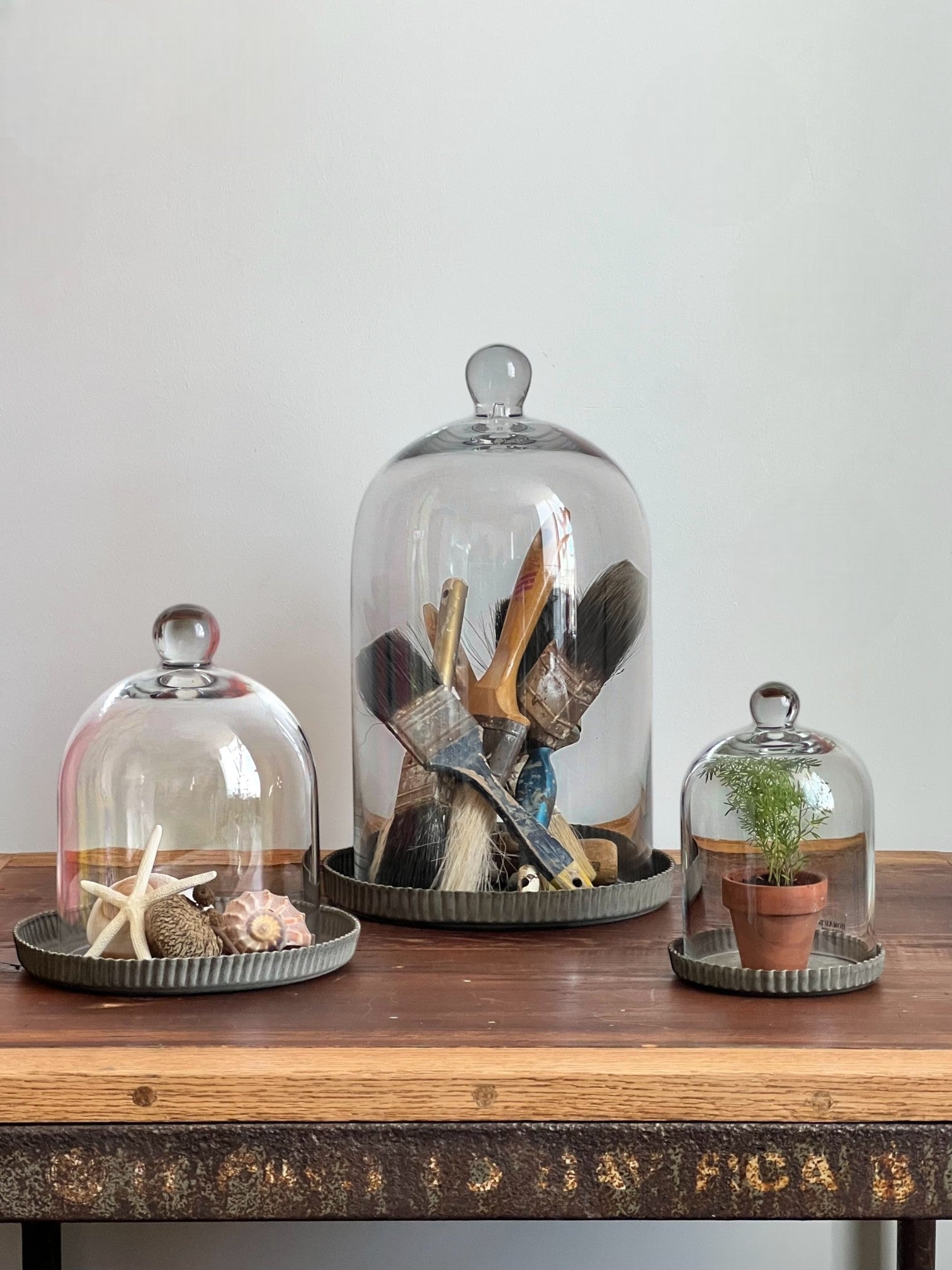 Homestyle Collective clear glass dome cloche with ribbed base, perfect for displaying plants, shells, or paintbrushes.