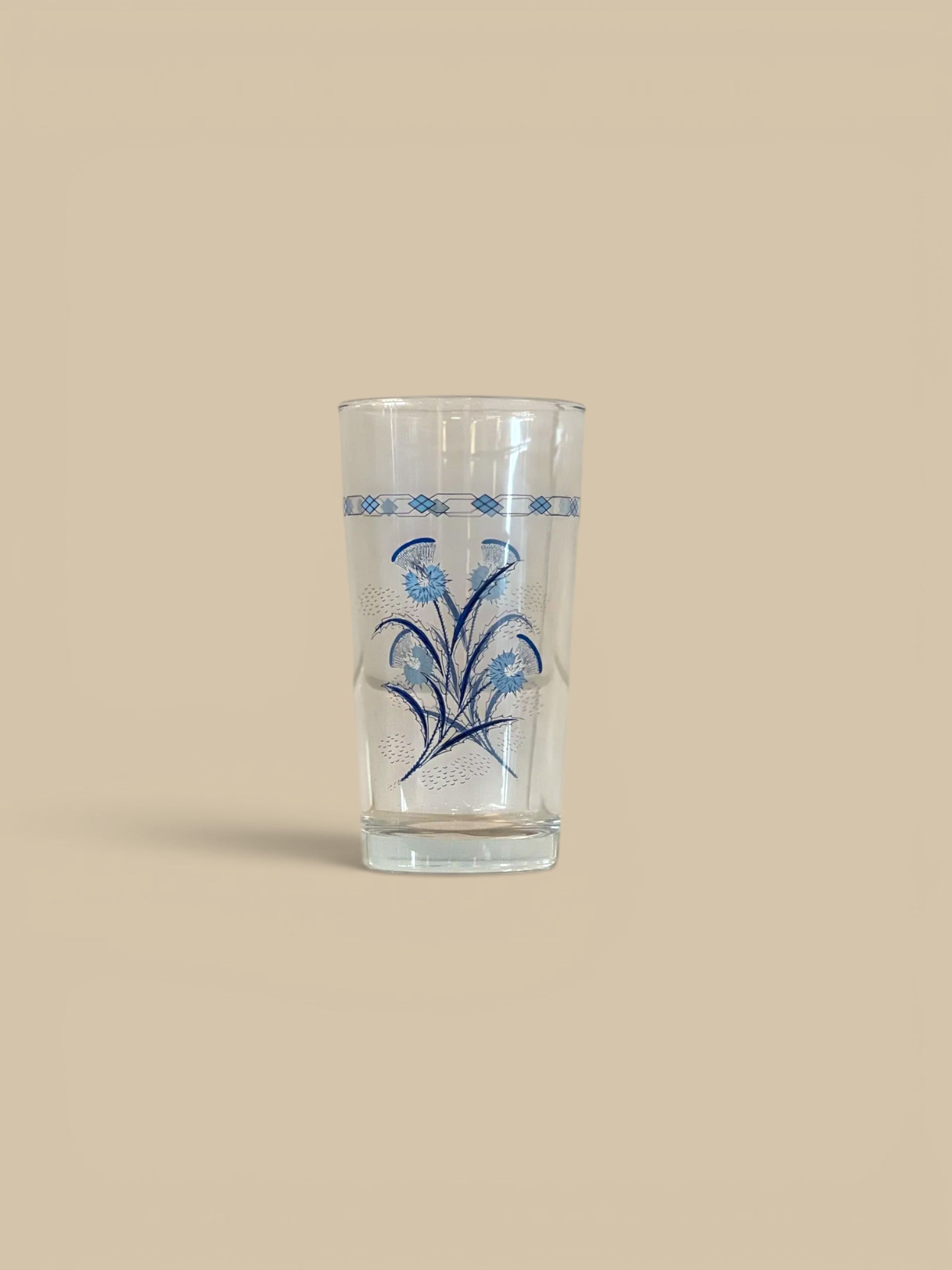 Homestyle Collective set of two clear glass tumblers with blue thistle and yellow rose floral designs.