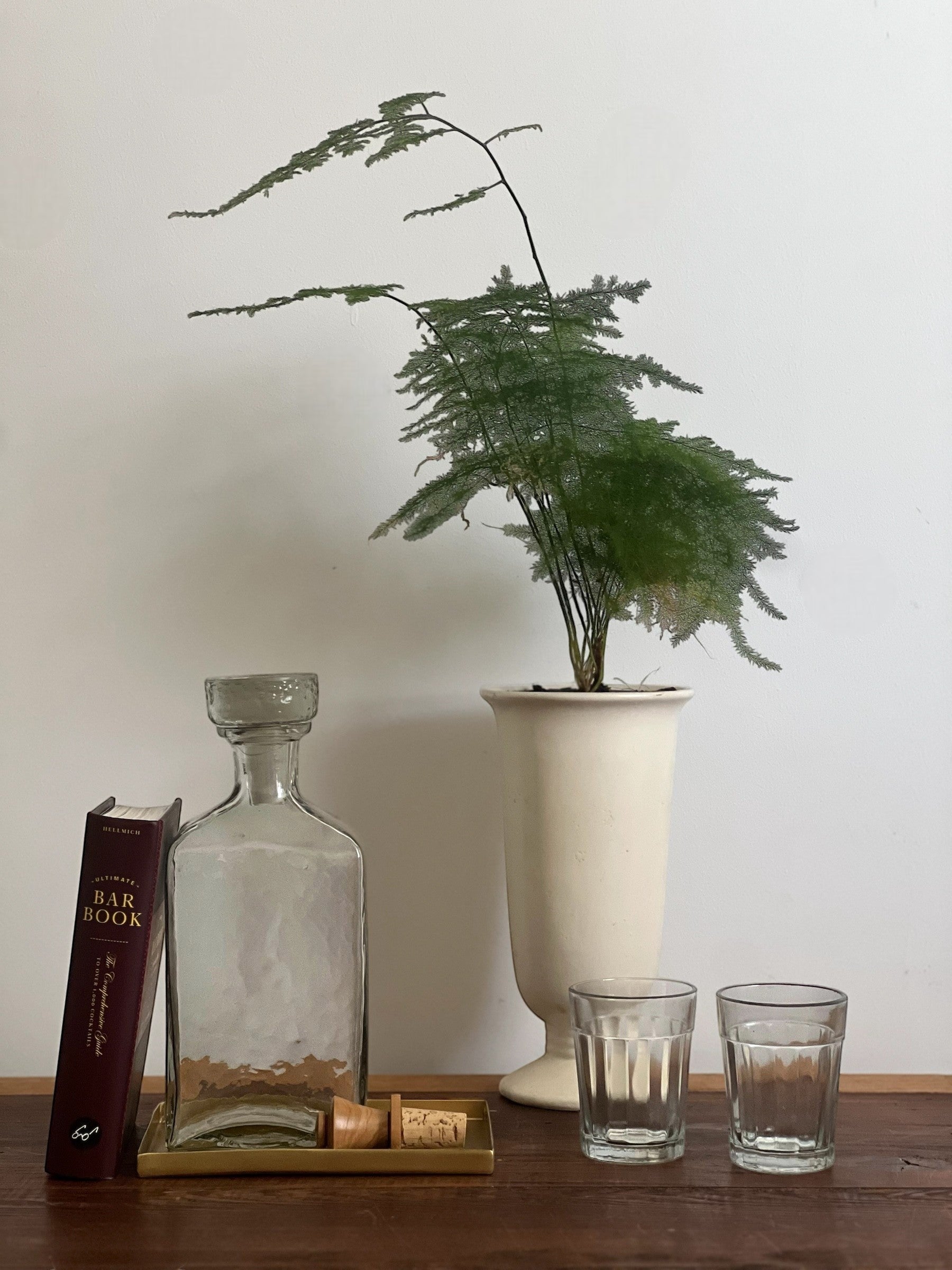 Homestyle Collective clear glass decanter with a cork stopper on a brass tray, next to a book and two glasses.