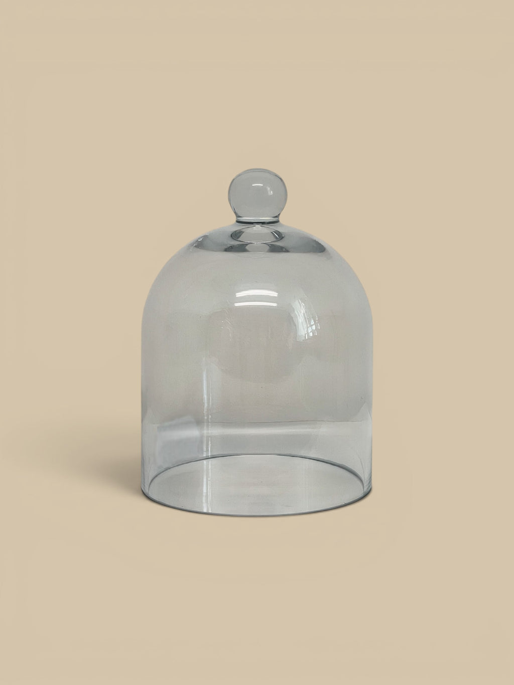 Homestyle Collective clear glass dome cloche with knob handle, perfect for displaying decorative objects or food.