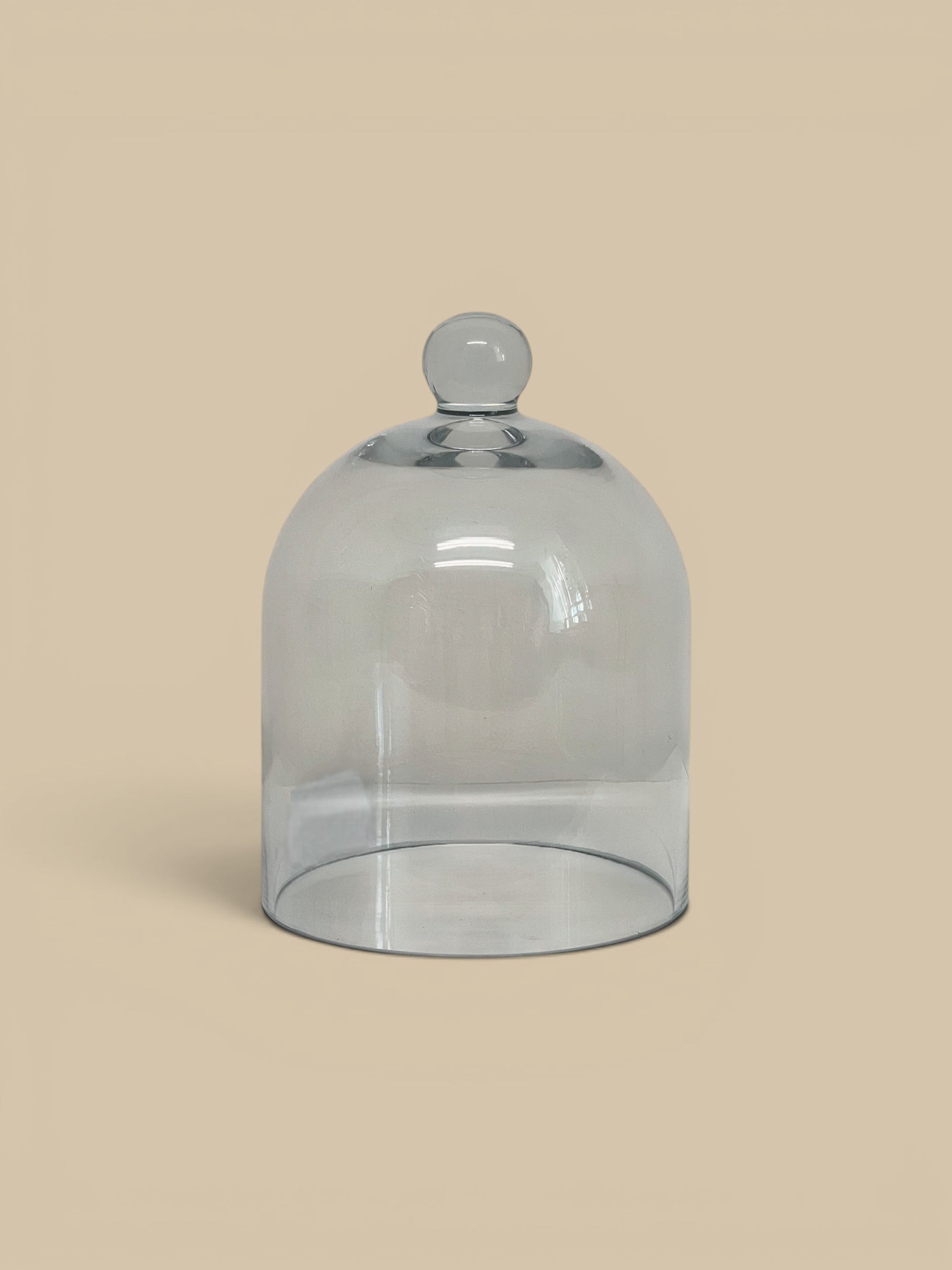 Homestyle Collective clear glass dome cloche with knob handle, perfect for displaying decorative objects or food.
