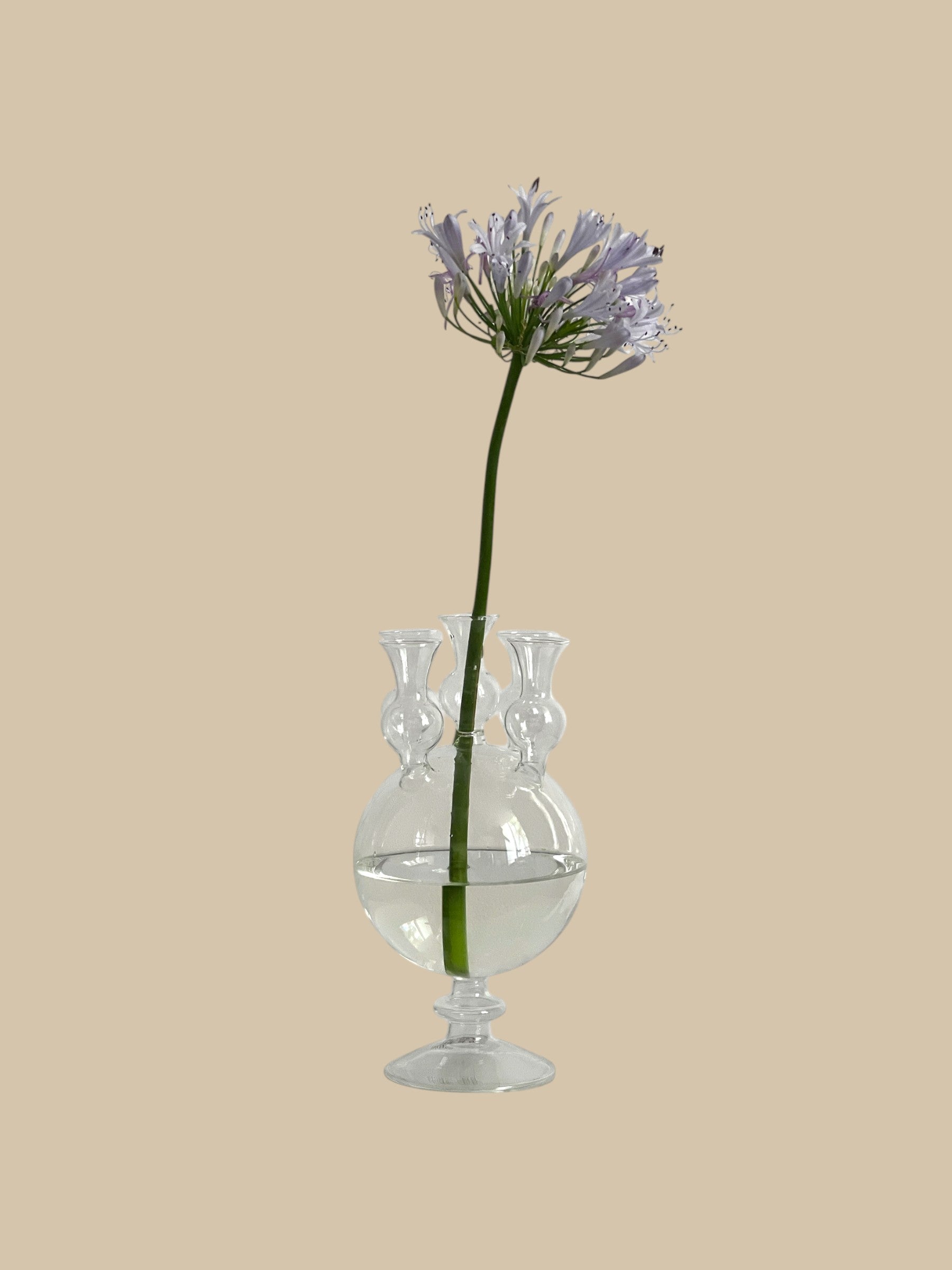 Homestyle Collective clear glass tulipiere vase with five openings, holding a single stem with purple flowers.