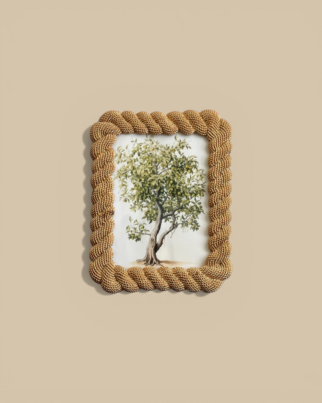 Homestyle Collective gold rope-textured resin 5x7 picture frame with brass accents. Coastal style.