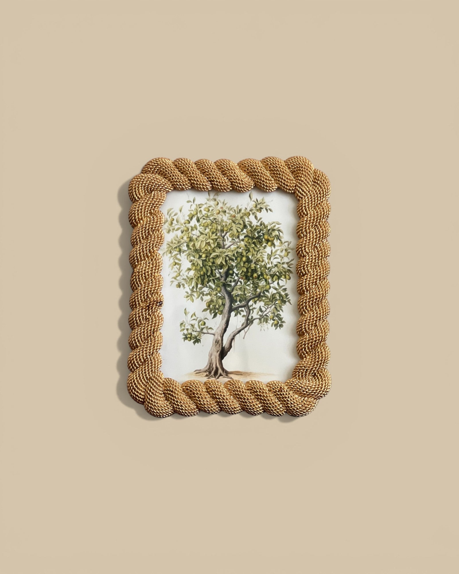Homestyle Collective gold rope-textured resin 5x7 picture frame with brass accents. Coastal style.