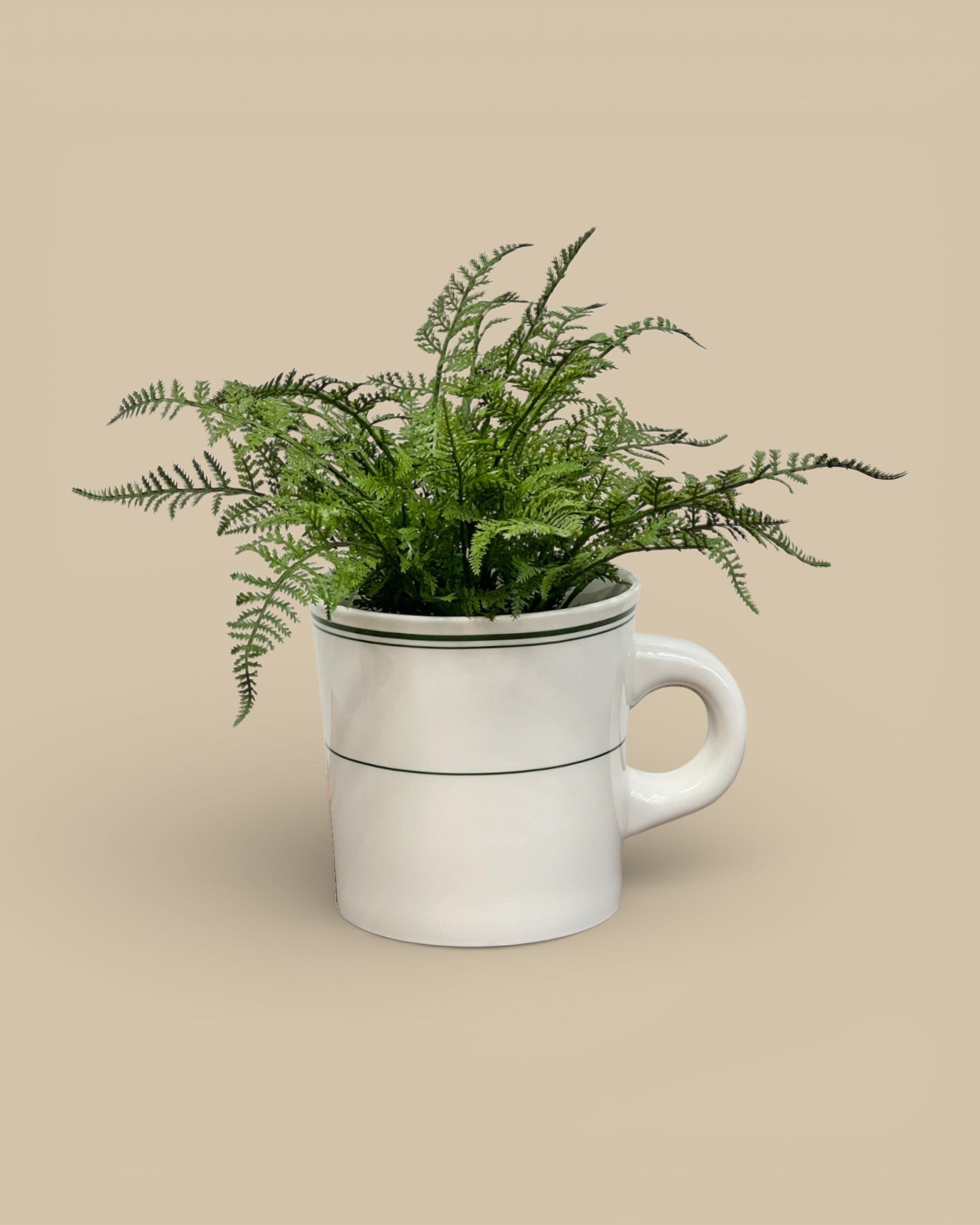 Homestyle Collective white ceramic crock with green banding, featuring a green fern plant. Classic restaurant-ware design.