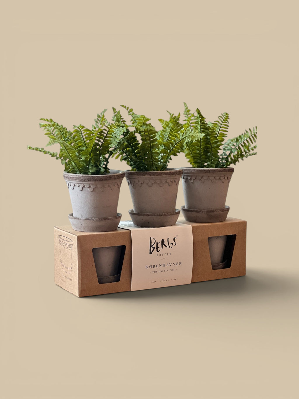 Homestyle Collective grey ceramic Københavner pots with scalloped trim, 3 pack with saucers and ferns.