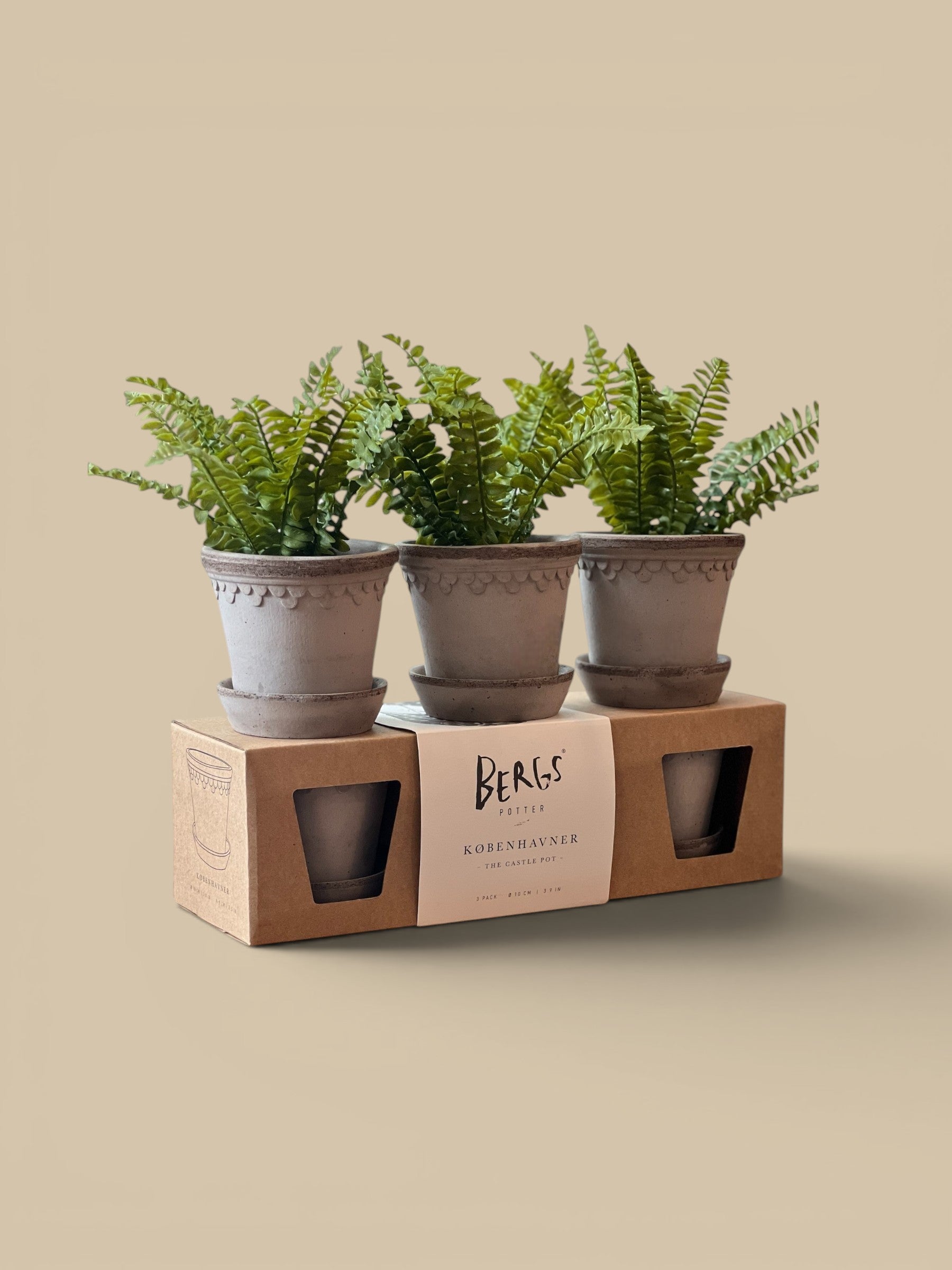 Homestyle Collective grey ceramic Københavner pots with scalloped trim, 3 pack with saucers and ferns.