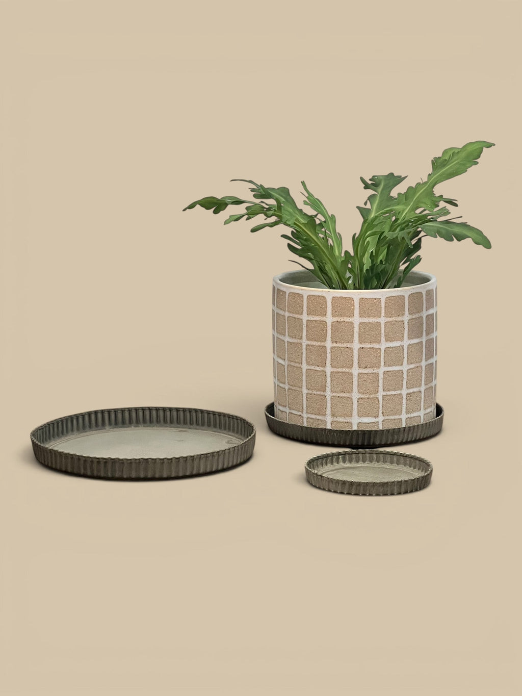Homestyle Collective vintage-inspired grey ceramic tray with crimped edges, shown in three sizes with a potted plant.