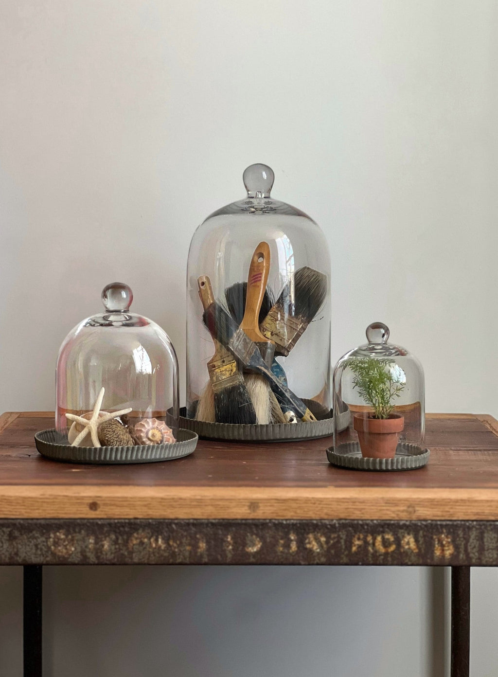 Homestyle Collective vintage-inspired grey metal tray with crimped edges, displaying seashells and a starfish under a glass dome.