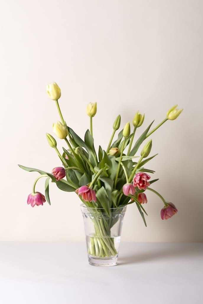Homestyle Collective Københavner clear glass vase with decorative rim, holding yellow and pink tulips.
