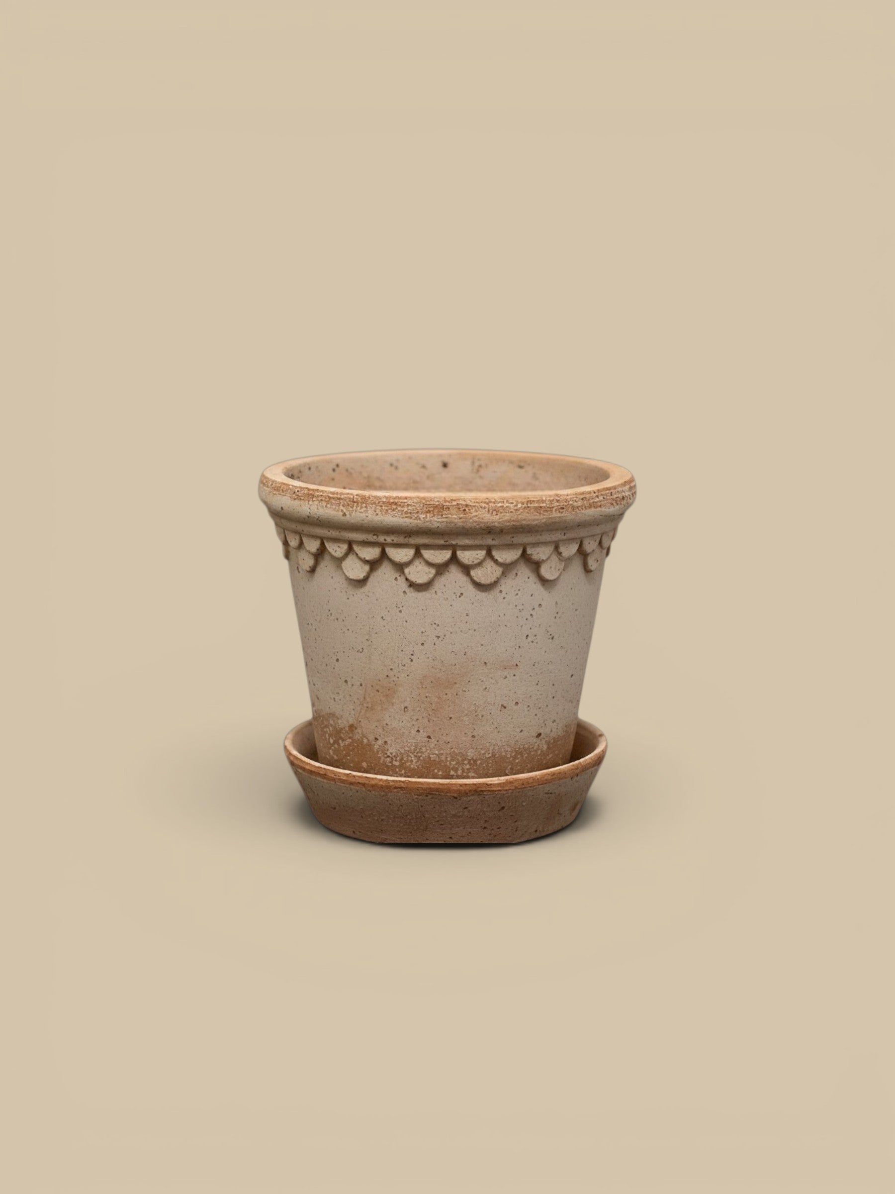 Homestyle Collective Kobenhavner Rosa pot and saucer, handcrafted Italian terracotta with scalloped rim detail, holds a green plant.