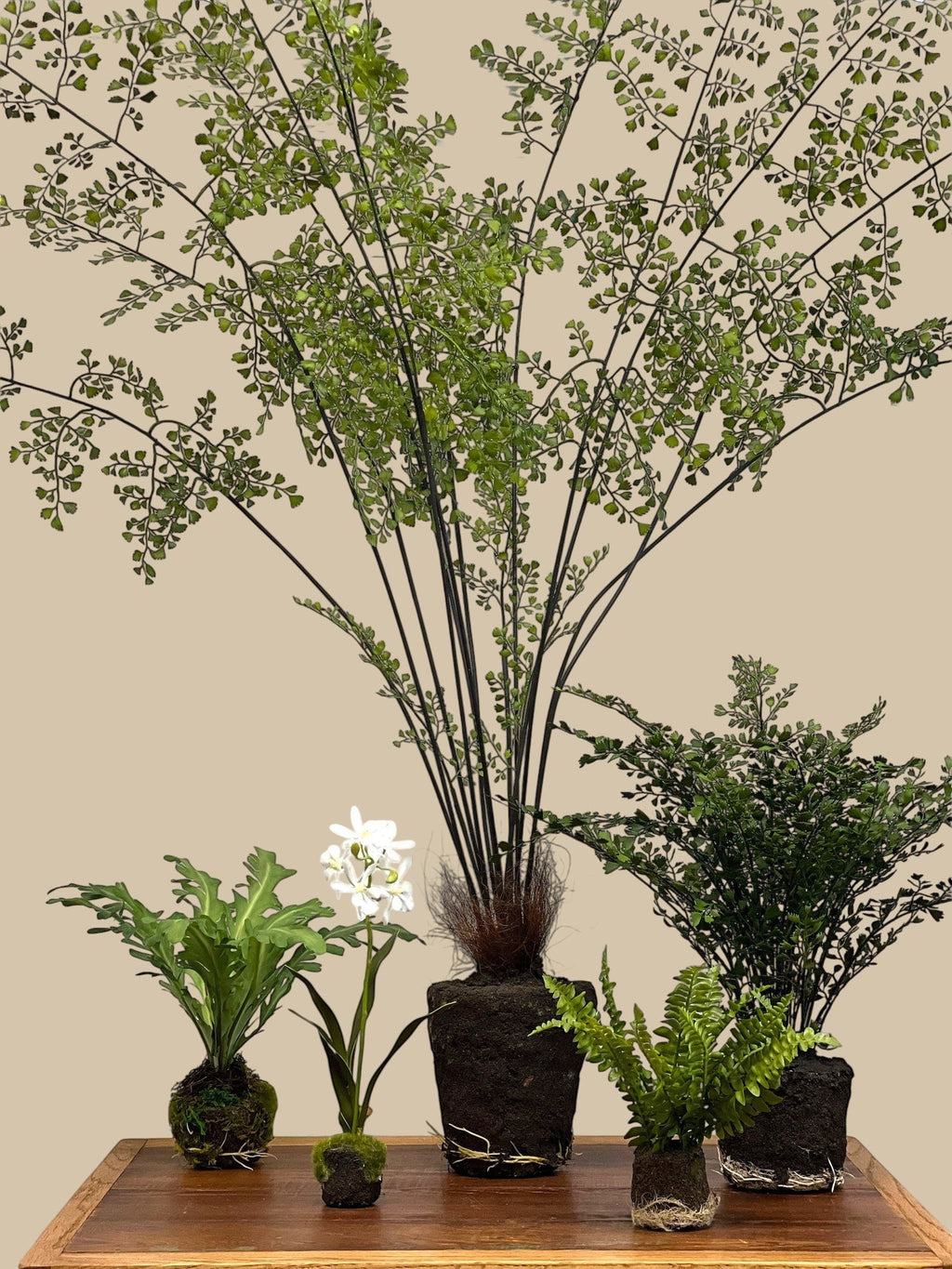 Homestyle Collective lifelike replica maidenhair fern with delicate green fronds and exposed root ball, available in 44" and 18" sizes.