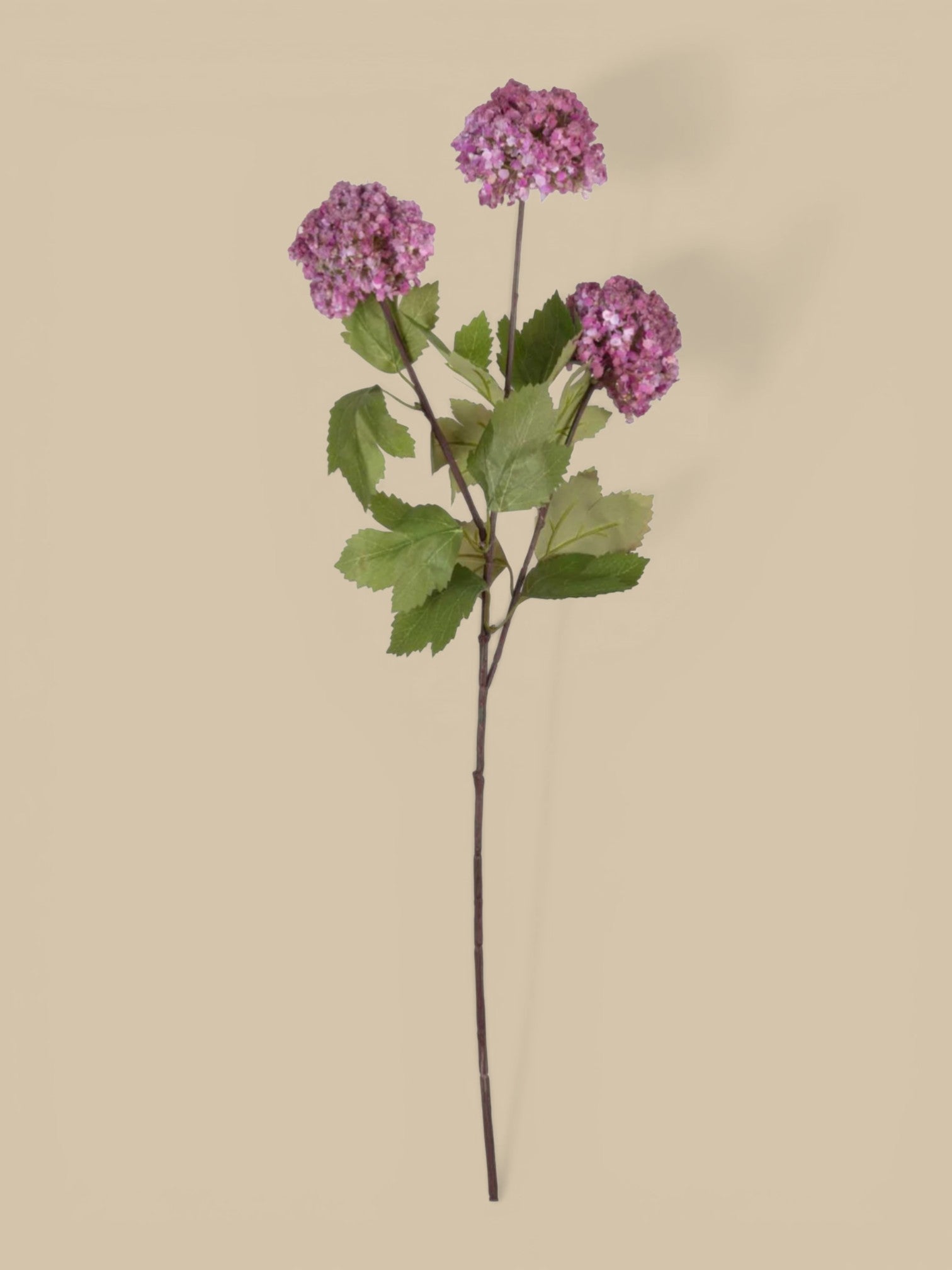Homestyle Collective Artificial Guelder Rose Mauve stem with green leaves and three mauve flower heads.
