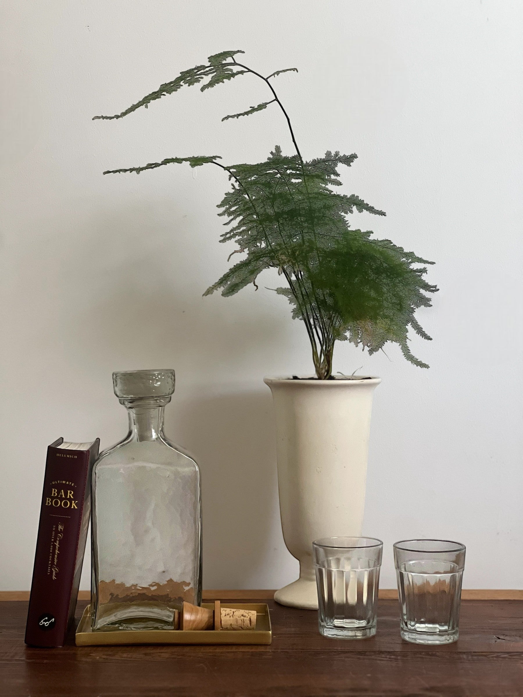Homestyle Collective Minette Ribbed Glass, clear glass with vertical fluting, weighted base, 2.5" L x 2.5" W x 3.25" H.