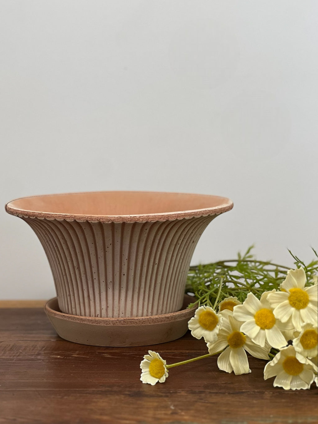 Homestyle Collective Daisy Pot in Raw Rosa, a fluted terracotta planter with a scalloped rim and matching saucer, adorned with delicate vertical lines.