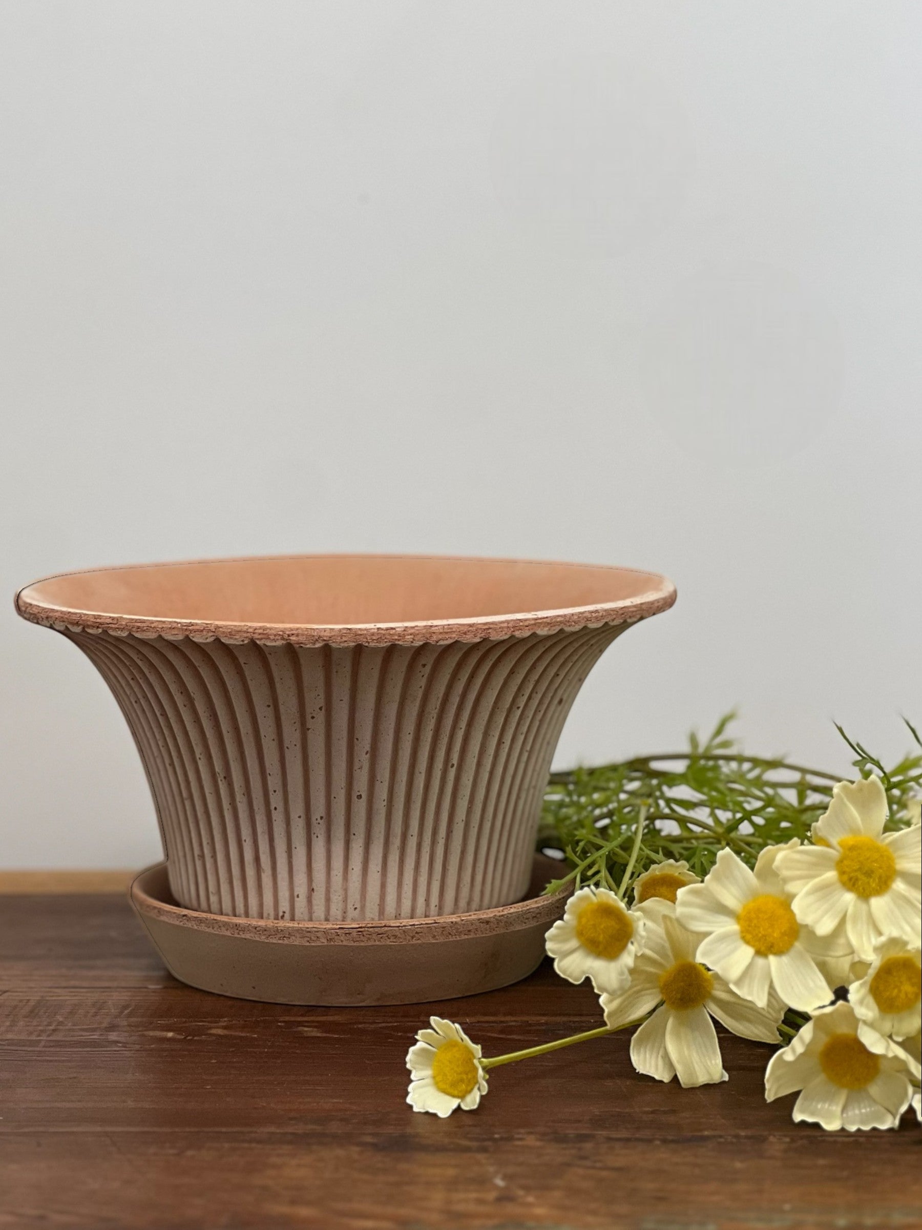 Homestyle Collective Daisy Pot in Raw Rosa, a fluted terracotta planter with a scalloped rim and matching saucer, adorned with delicate vertical lines.