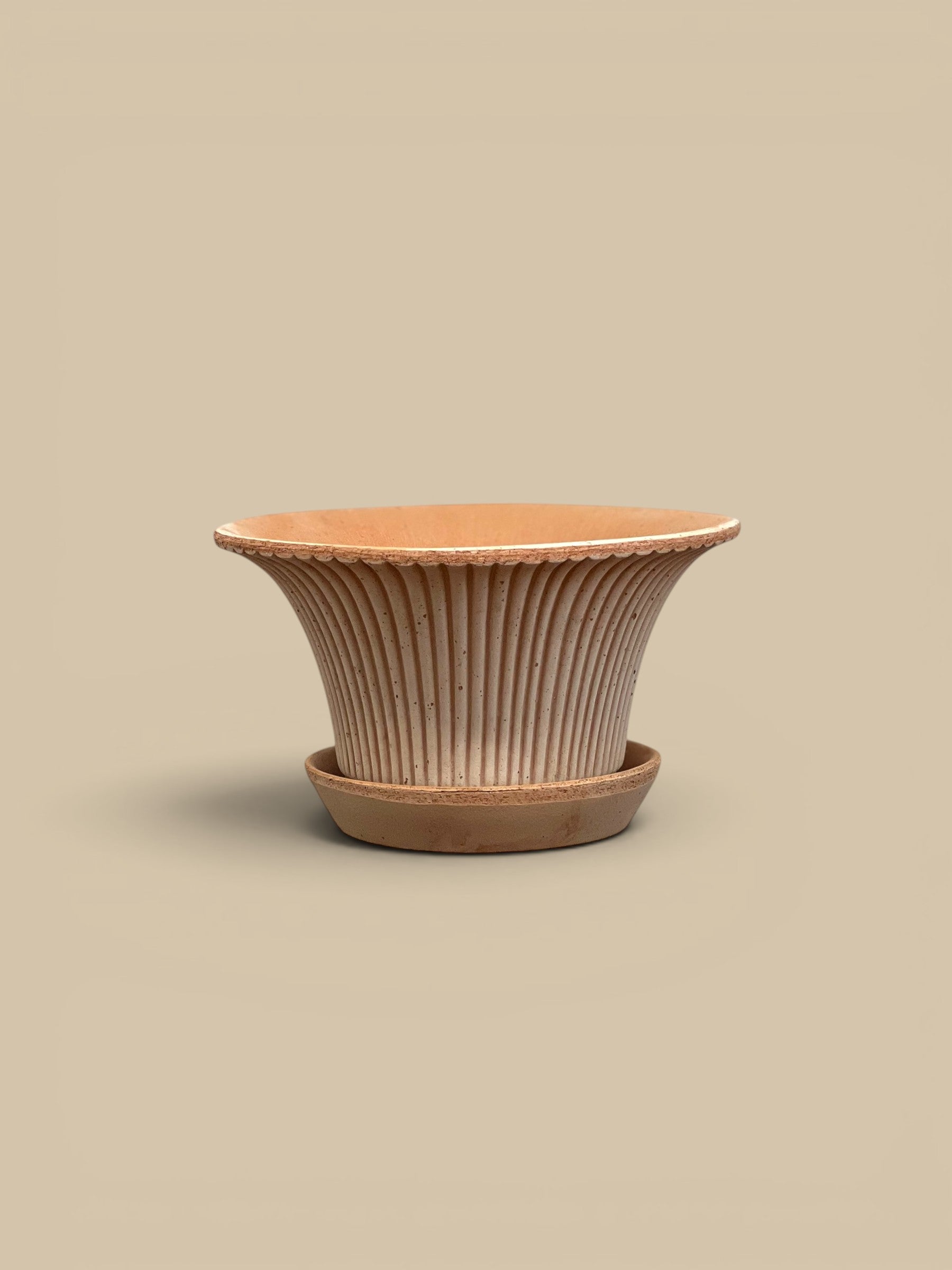 Homestyle Collective Daisy Pot in Raw Rosa, a fluted terracotta planter with matching saucer. Elegant, timeless design.