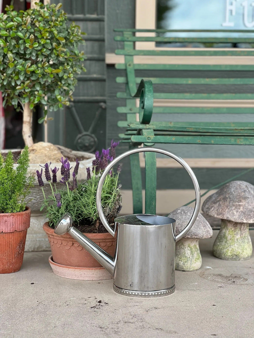 Homestyle Collective Københavner Rosa Low Set watering can with a silver finish and decorative rim.