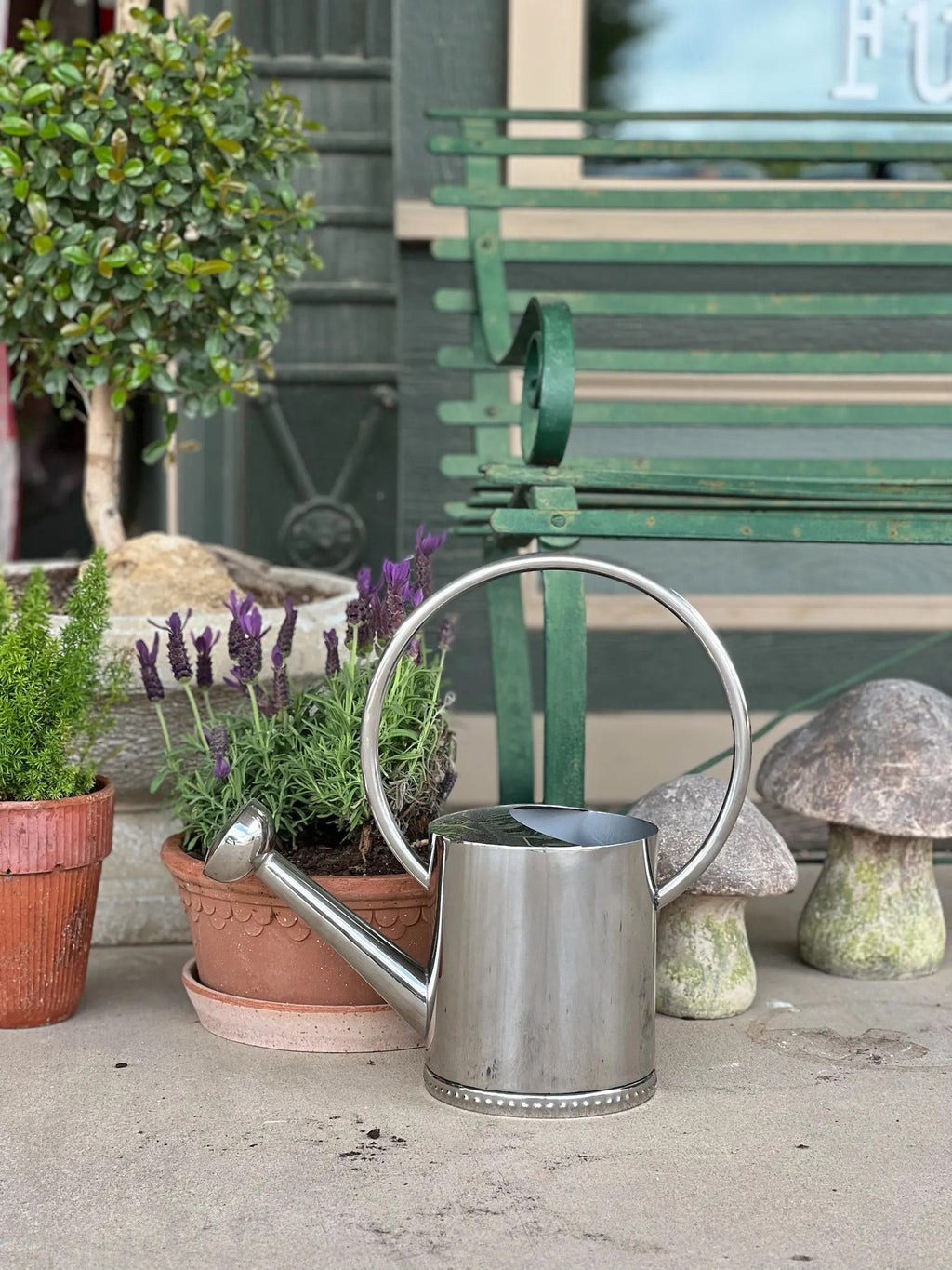 Homestyle Collective Københavner Rosa Low Set watering can with a silver finish and decorative rim.