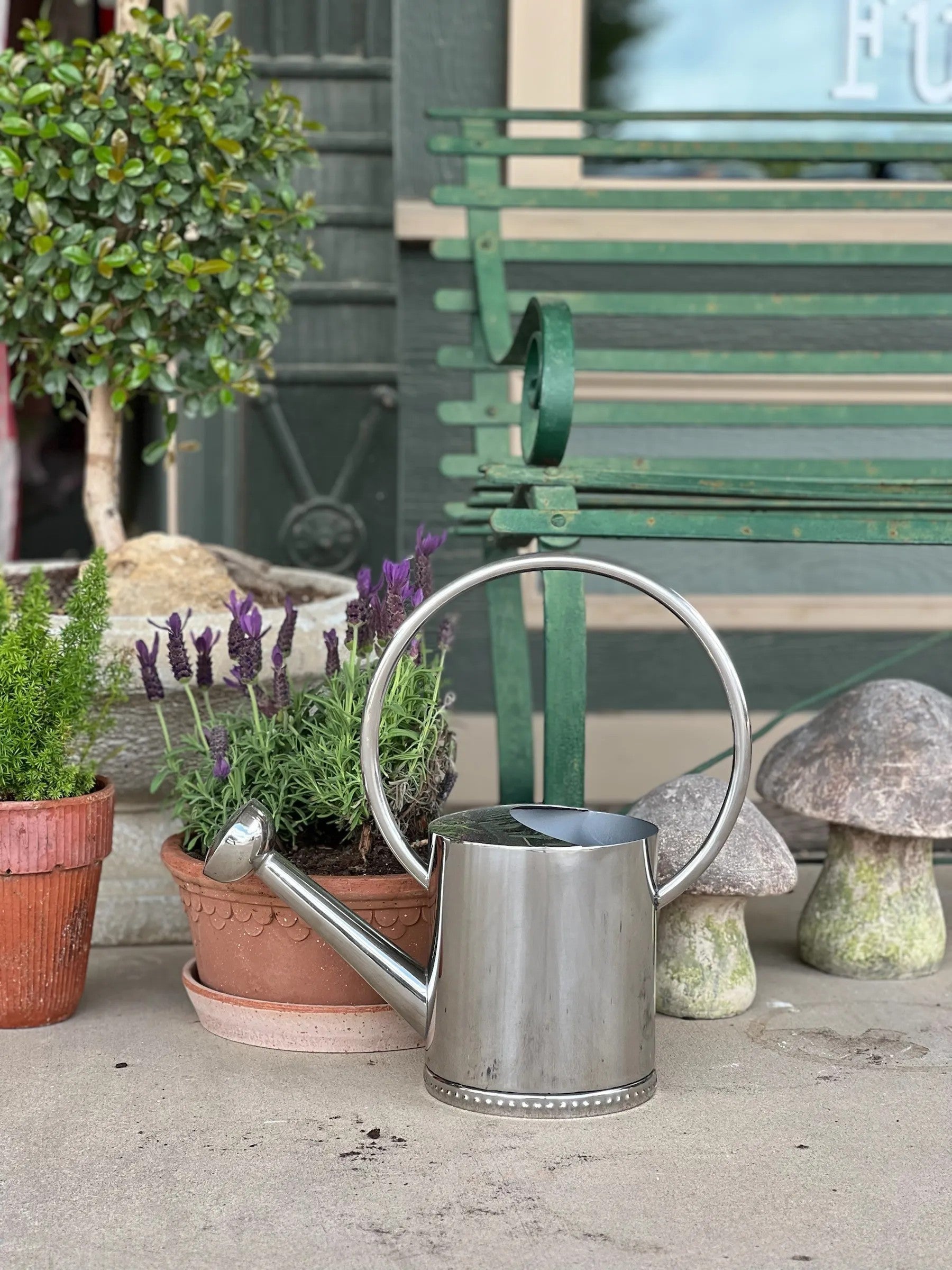 Homestyle Collective Københavner Rosa Low Set watering can with a silver finish and decorative rim.