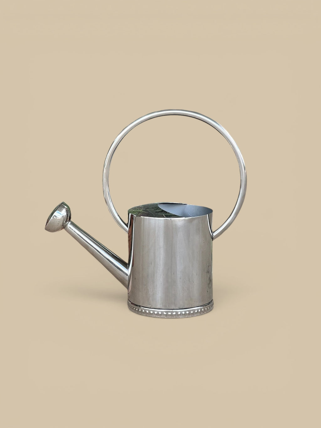 Homestyle Collective 1-gallon stainless steel watering can with arc handle and long spout, ideal for indoor/outdoor plants.