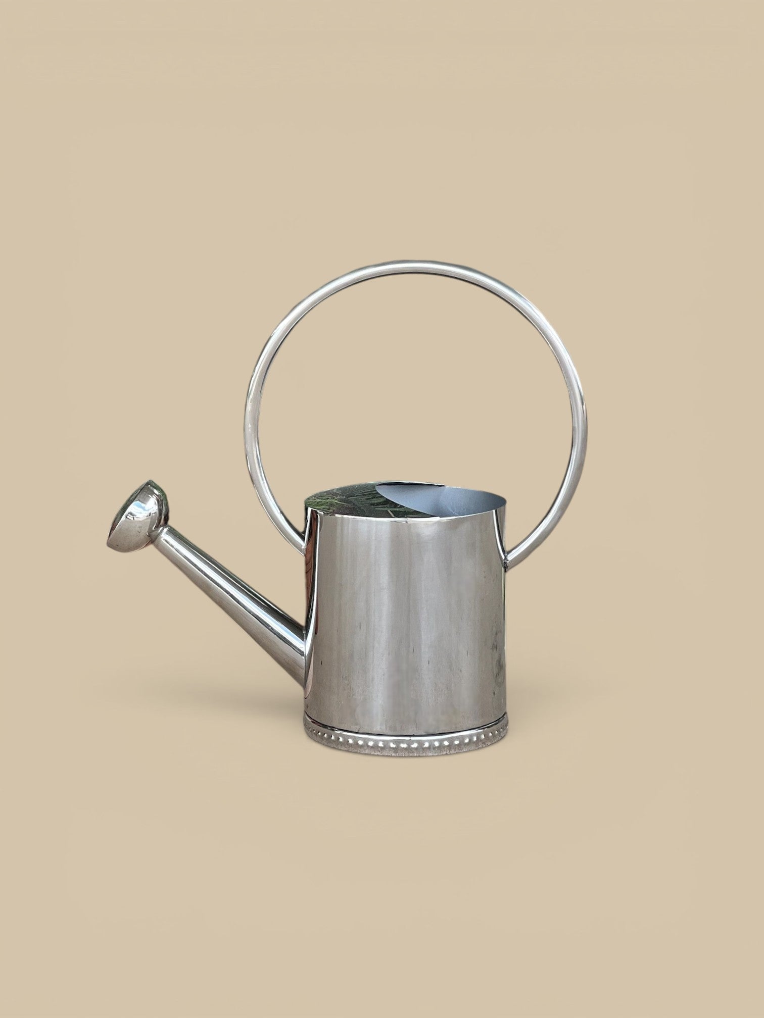 Homestyle Collective 1-gallon stainless steel watering can with arc handle and long spout, ideal for indoor/outdoor plants.