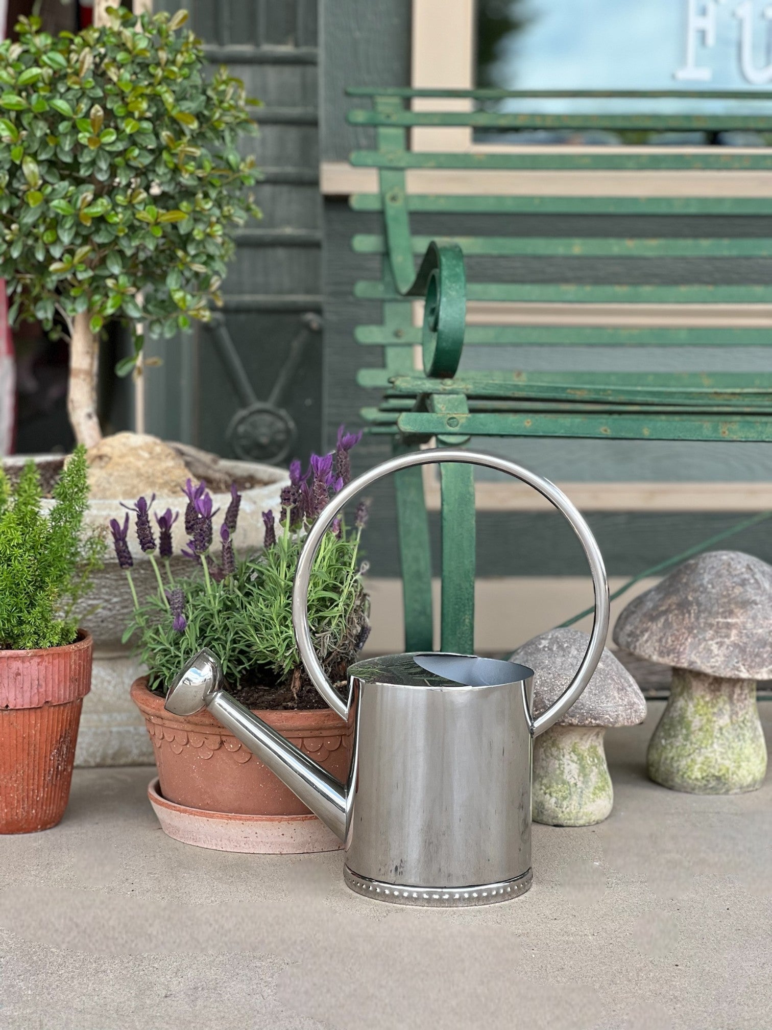 Homestyle Collective 1-gallon stainless steel watering can with arc handle and long spout, ideal for indoor/outdoor plants.