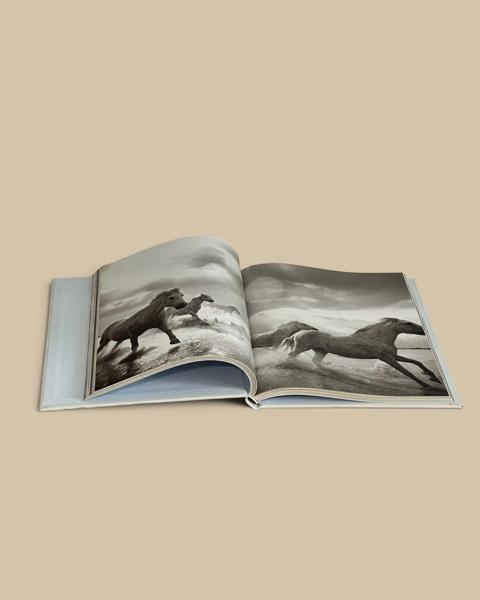 Homestyle Collective leatherbound Untamed Spirits coffee table book featuring black and white horse photography